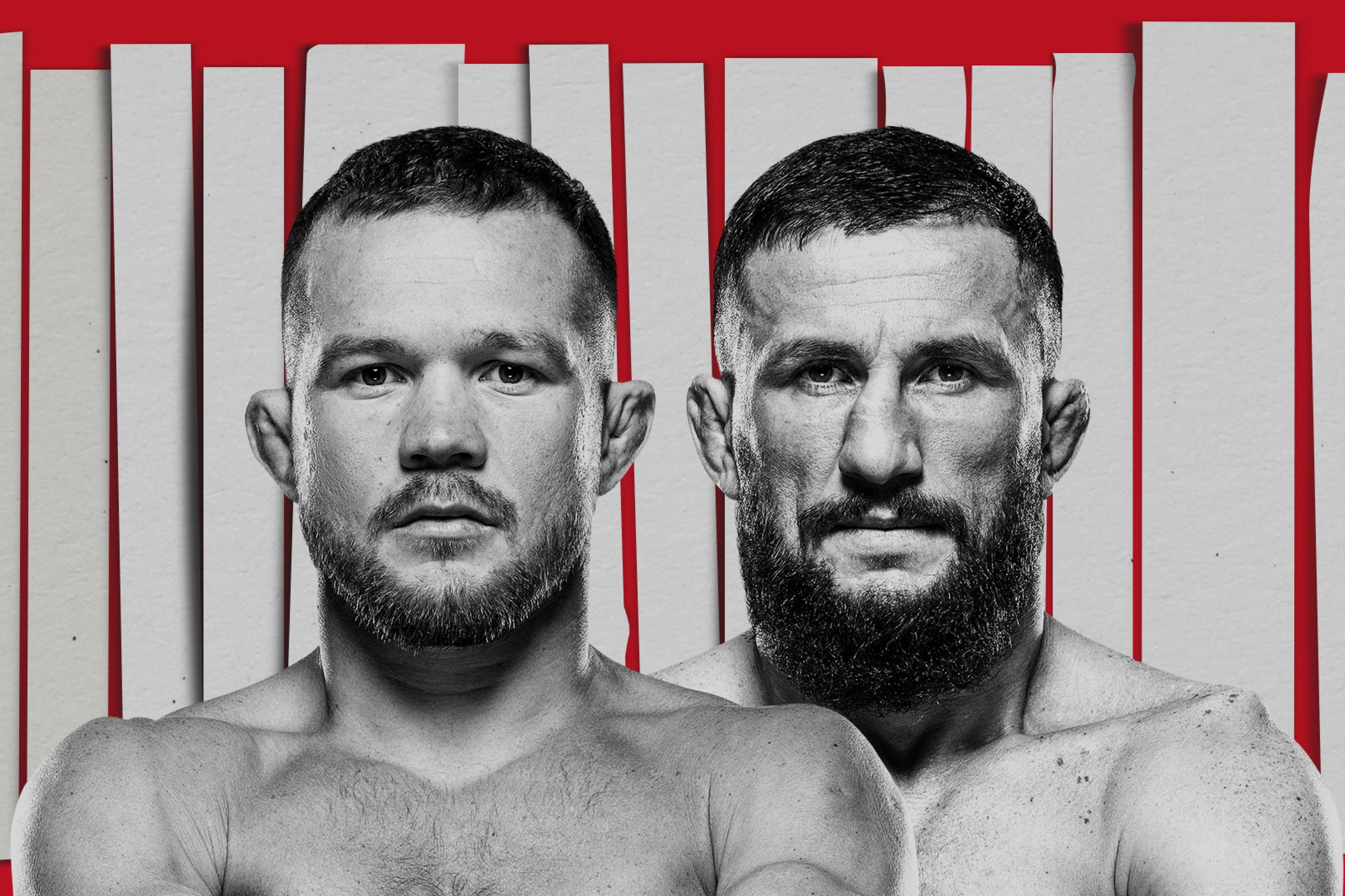 UFC Fight Night: Yan vs. Dvalishvili event art
