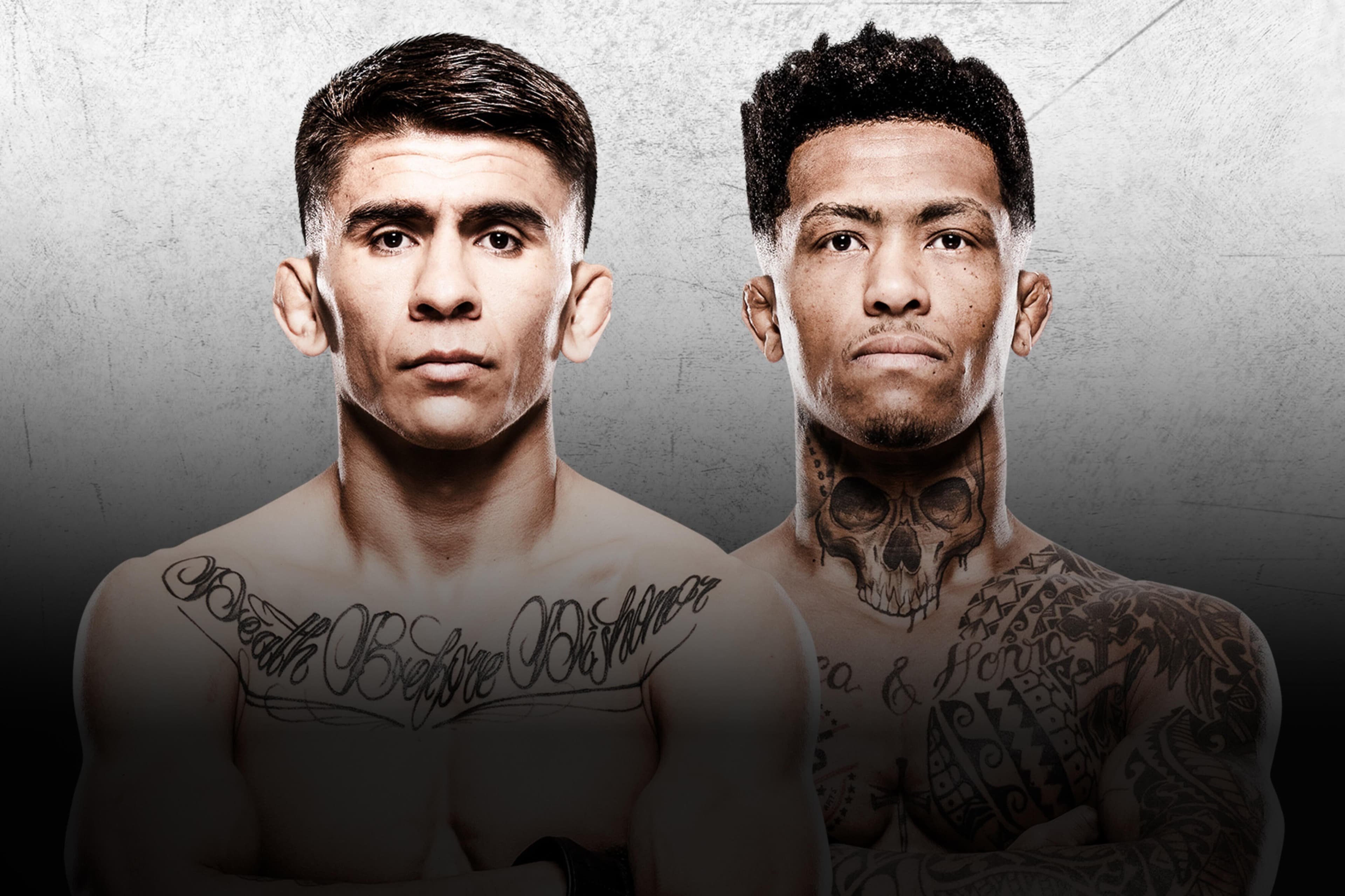 UFC Fight Night: Bautista vs. Oliveira event art