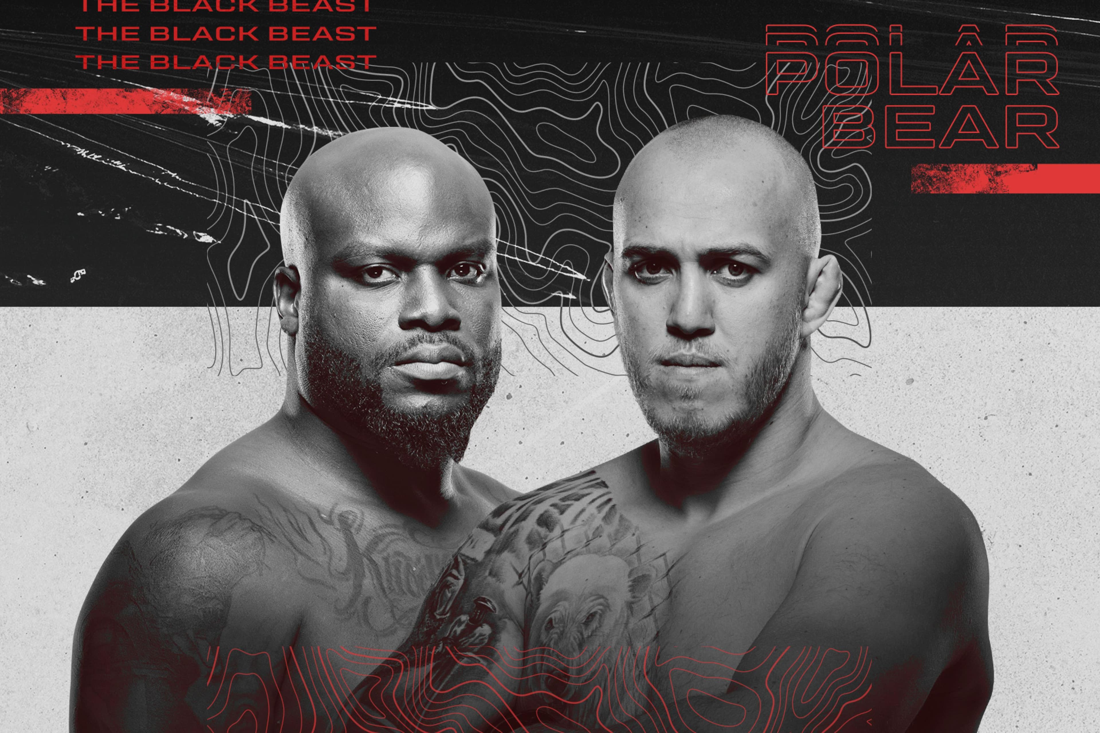 UFC Fight Night: Lewis vs. Spivac event art