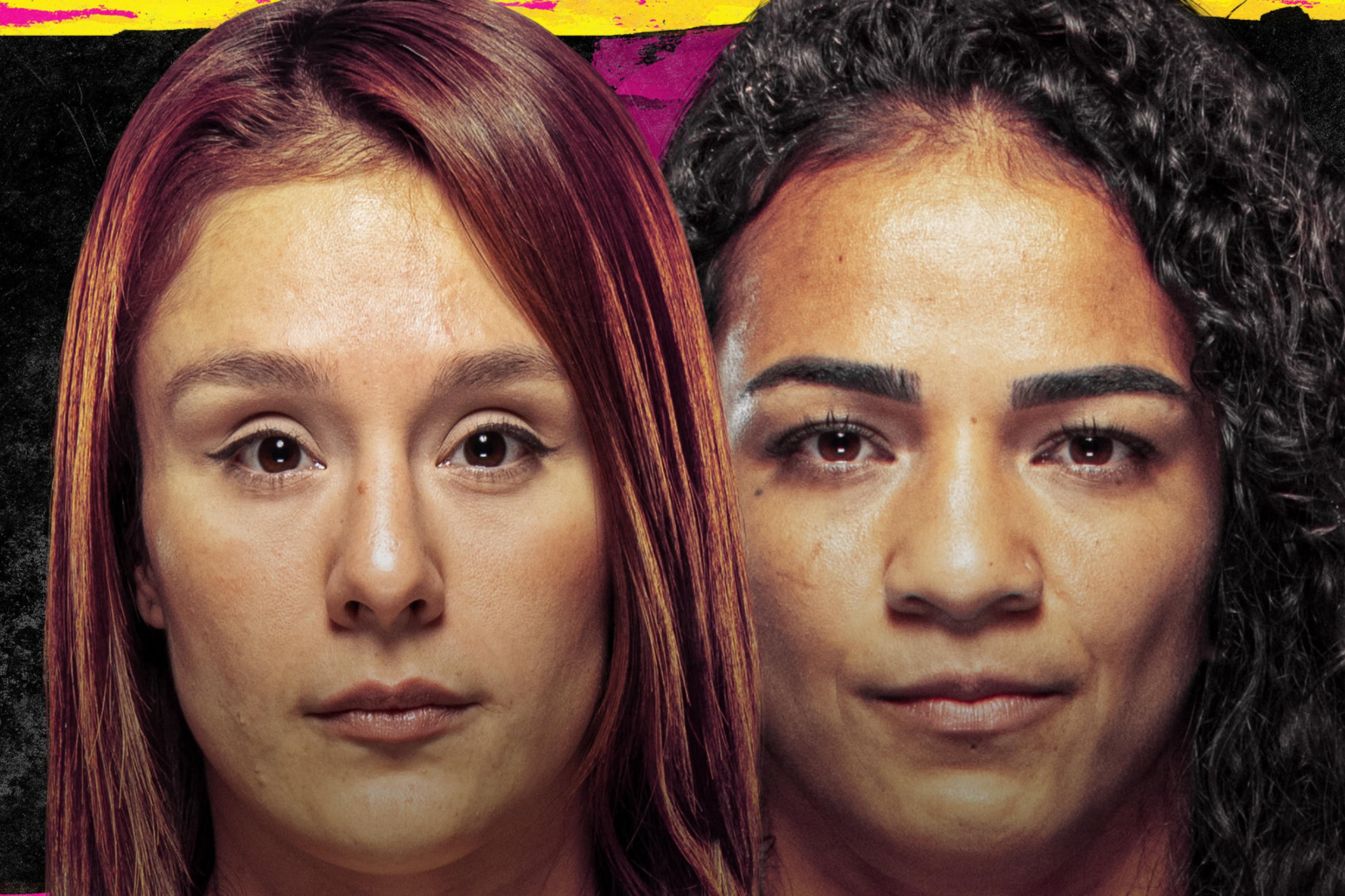 UFC Fight Night: Grasso vs. Araujo event art