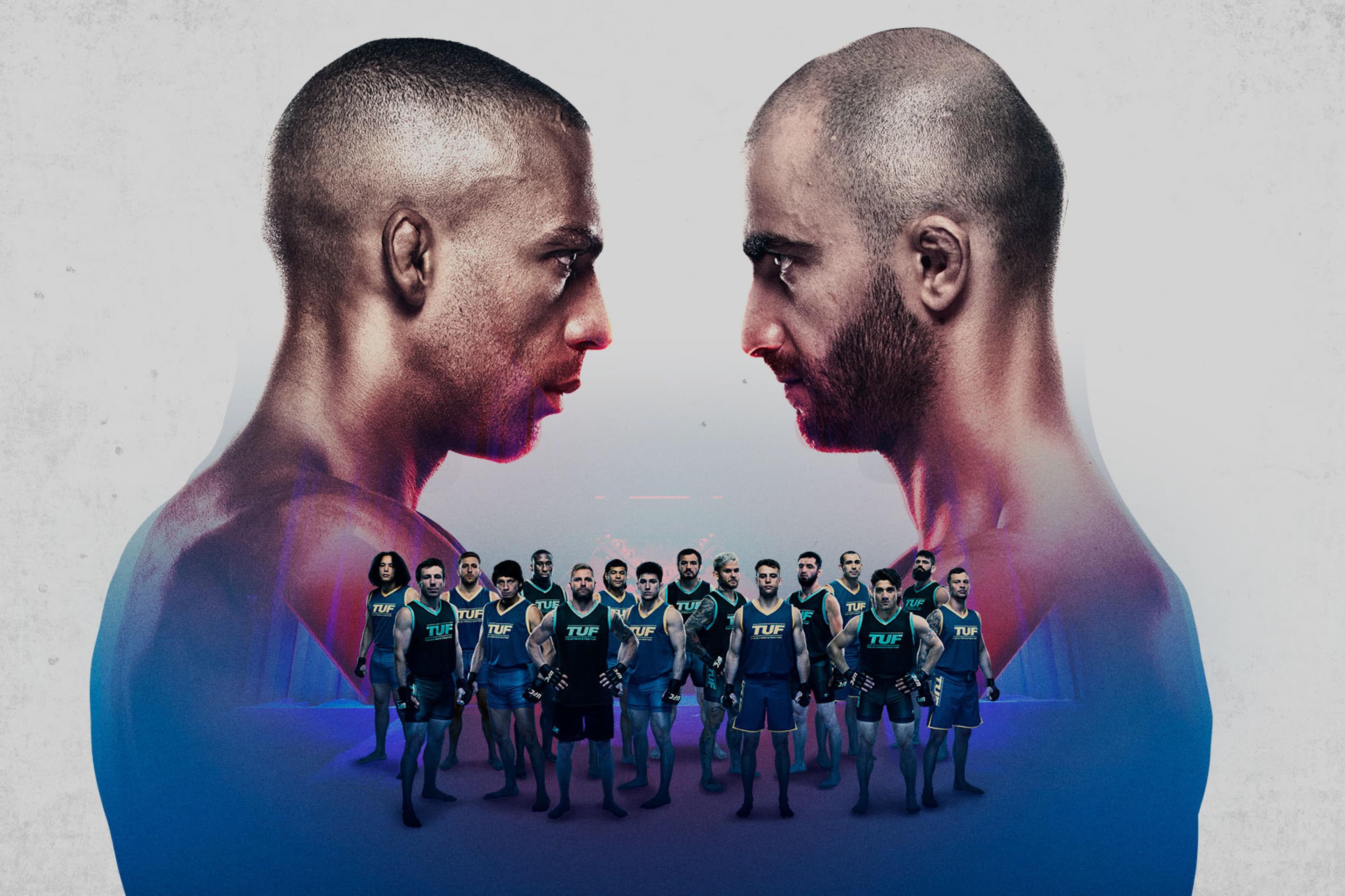 UFC Fight Night: Barboza vs. Chikadze event art