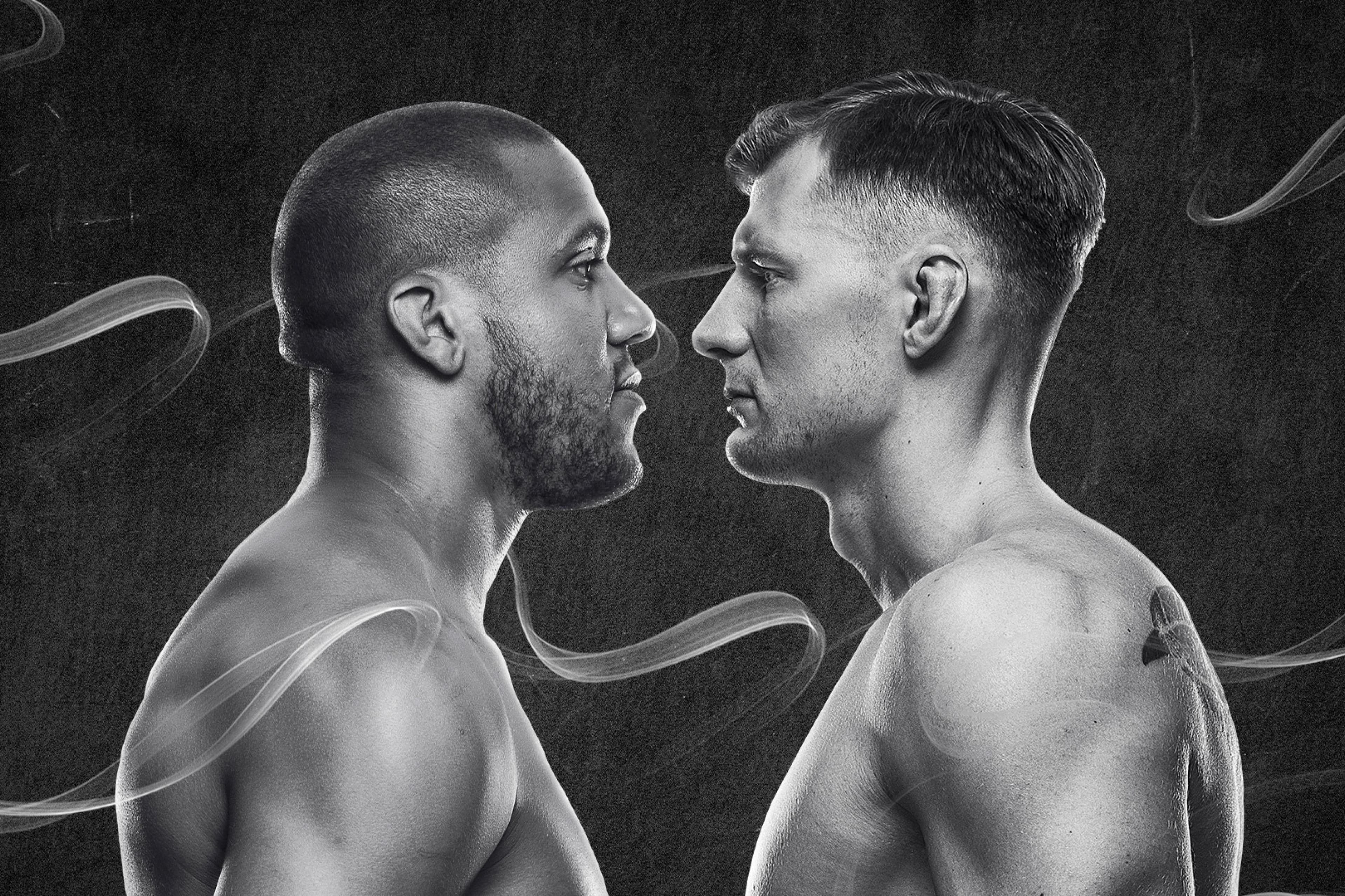 UFC Fight Night: Gane vs. Volkov event art