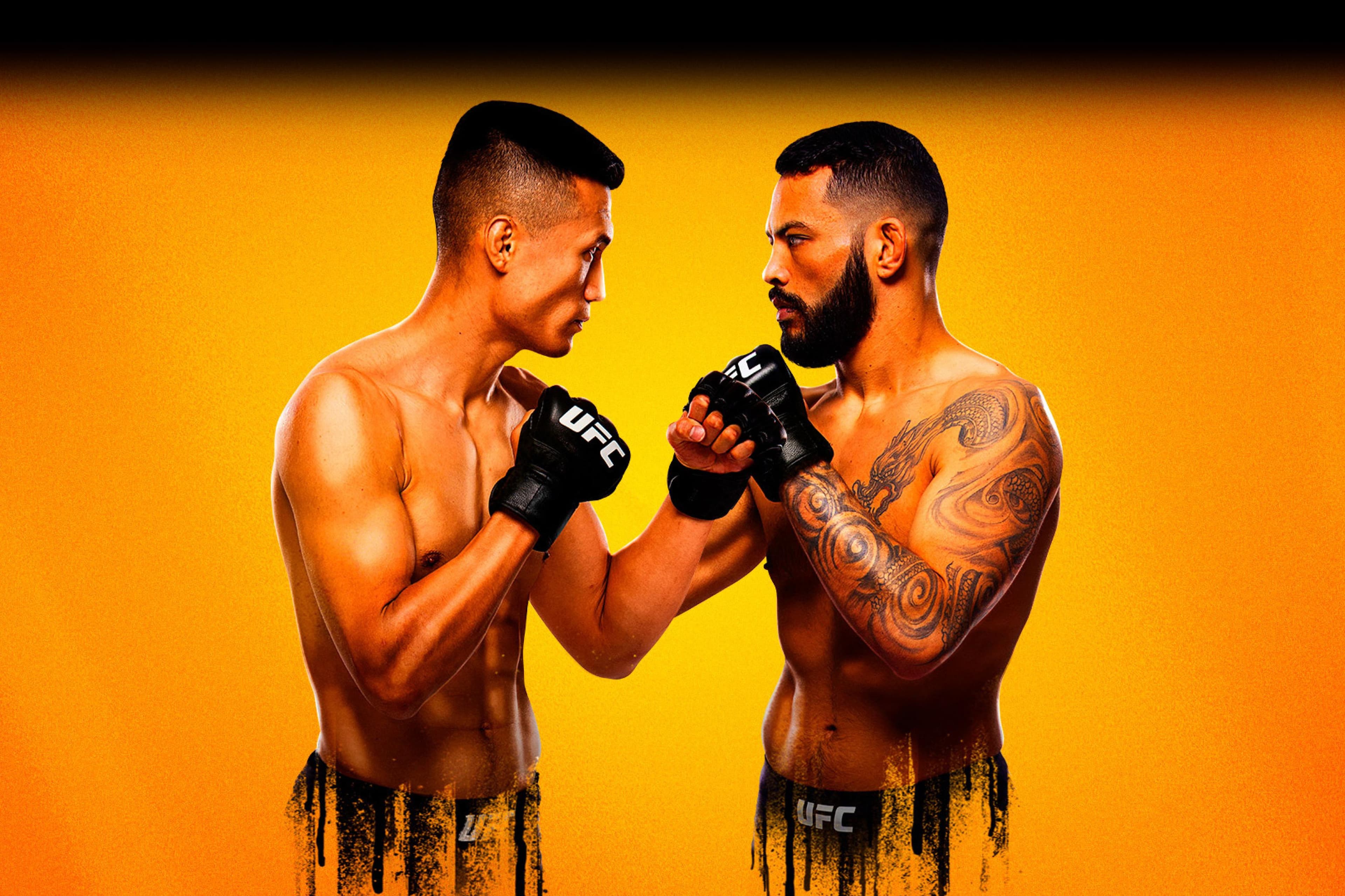 UFC Fight Night: Jung vs. Ige event art