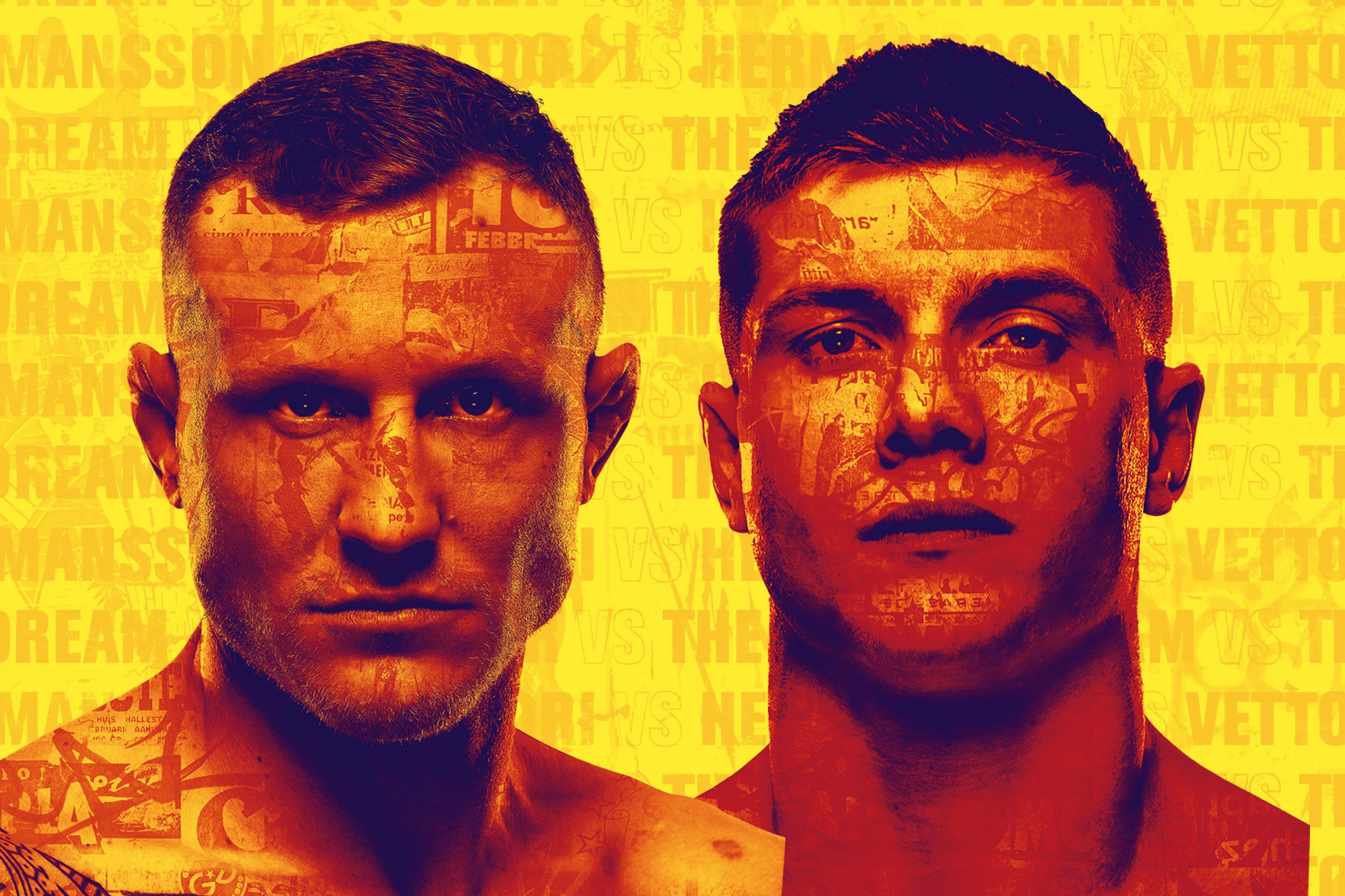UFC Fight Night: Hermansson vs. Vettori event art
