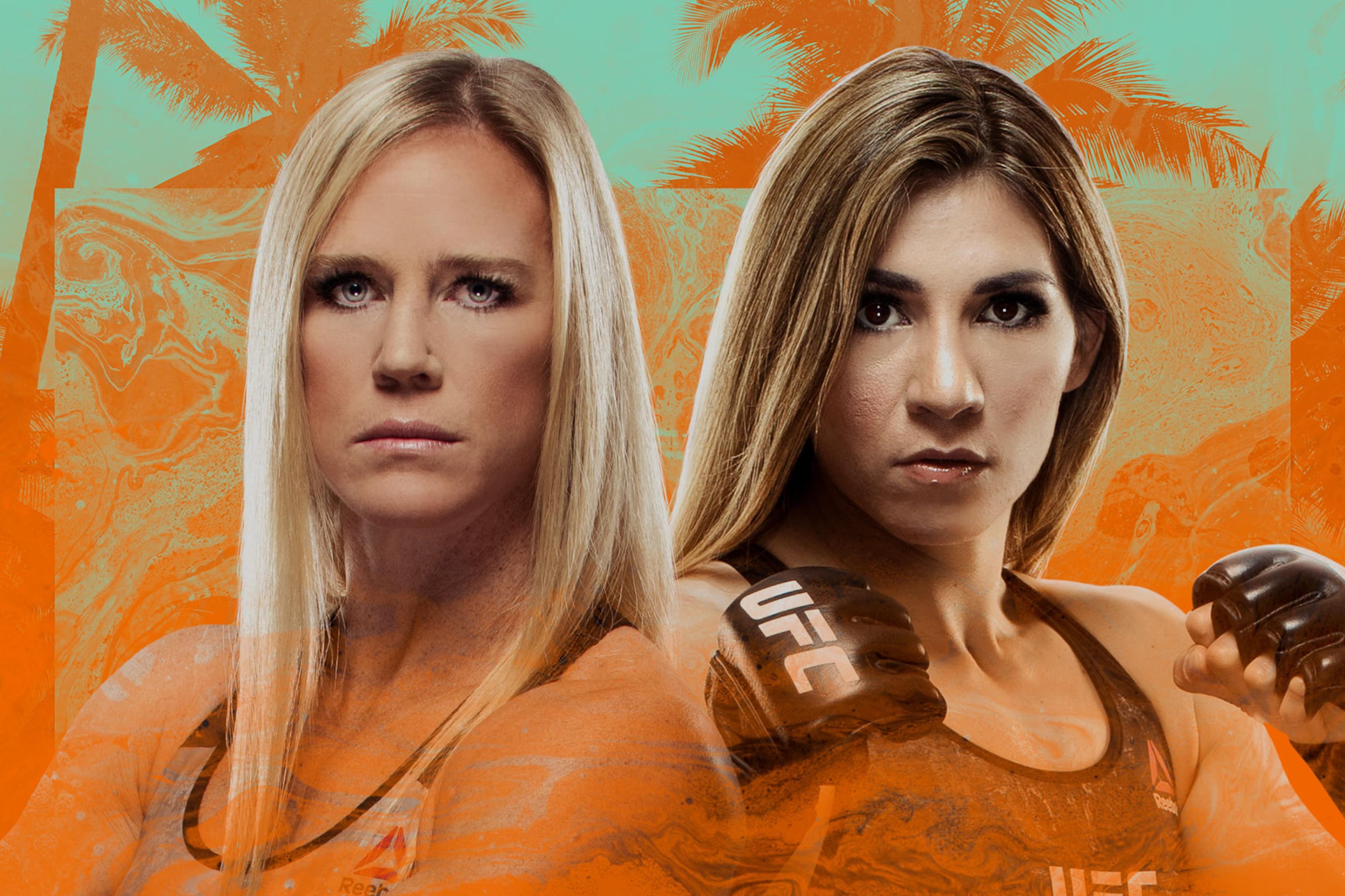 UFC Fight Night: Holm vs. Aldana event art