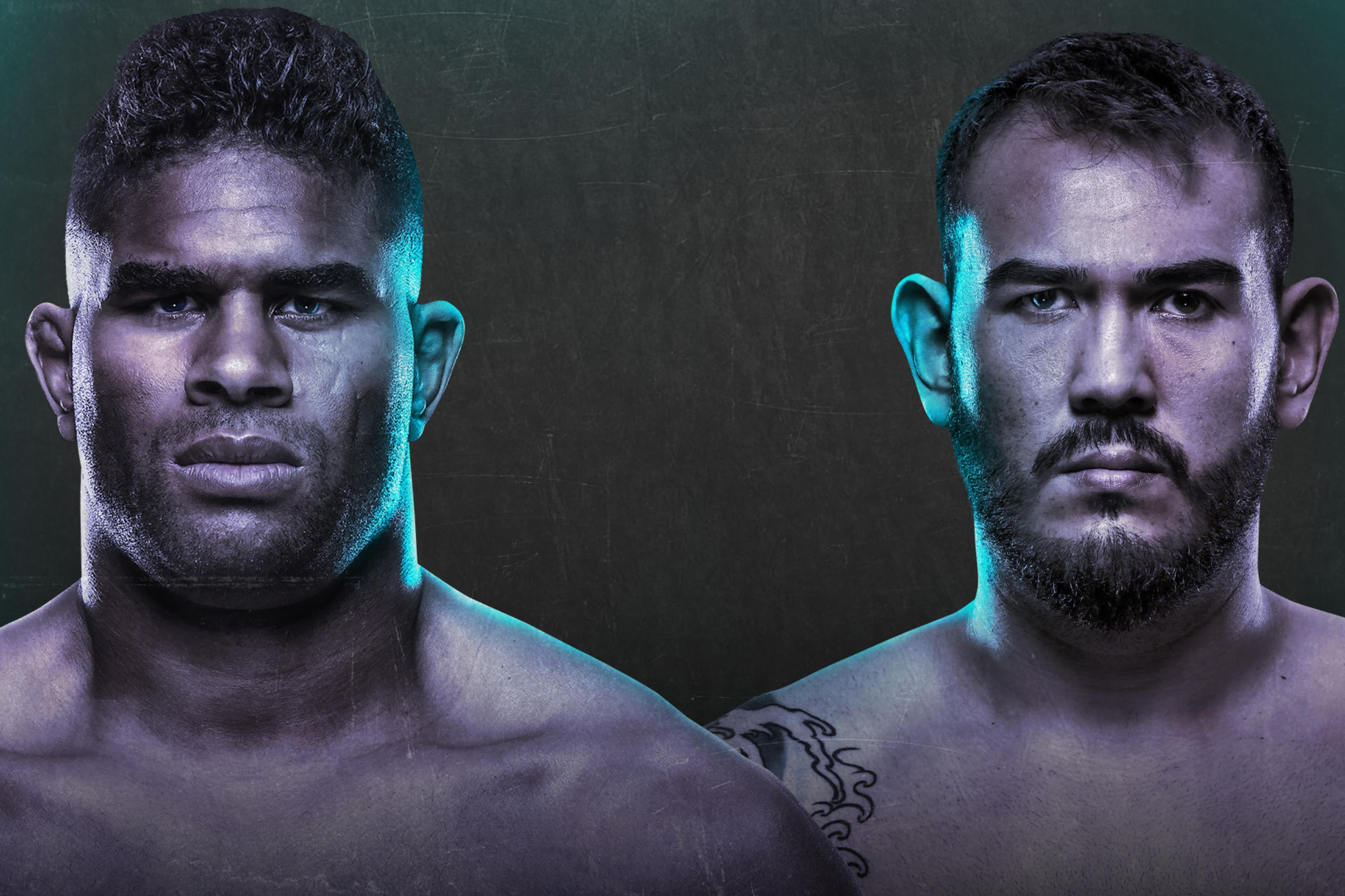 UFC Fight Night: Overeem vs. Sakai event art