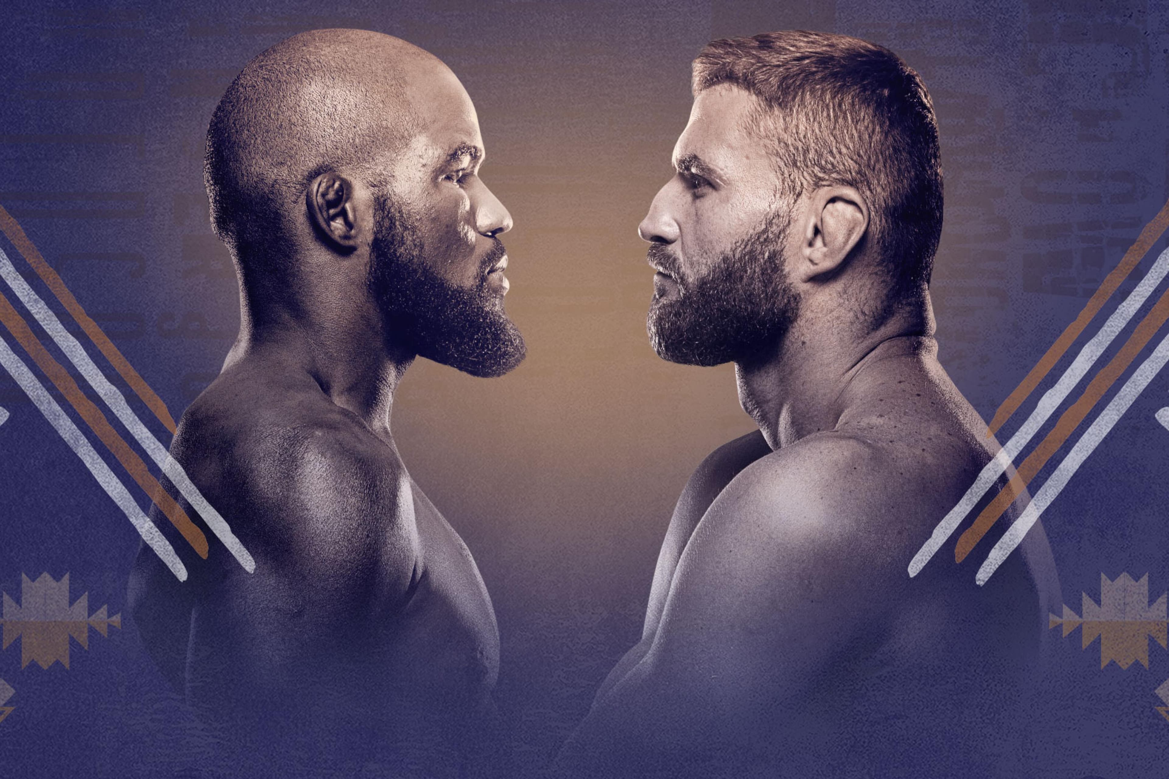 UFC Fight Night: Anderson vs. Blachowicz event art
