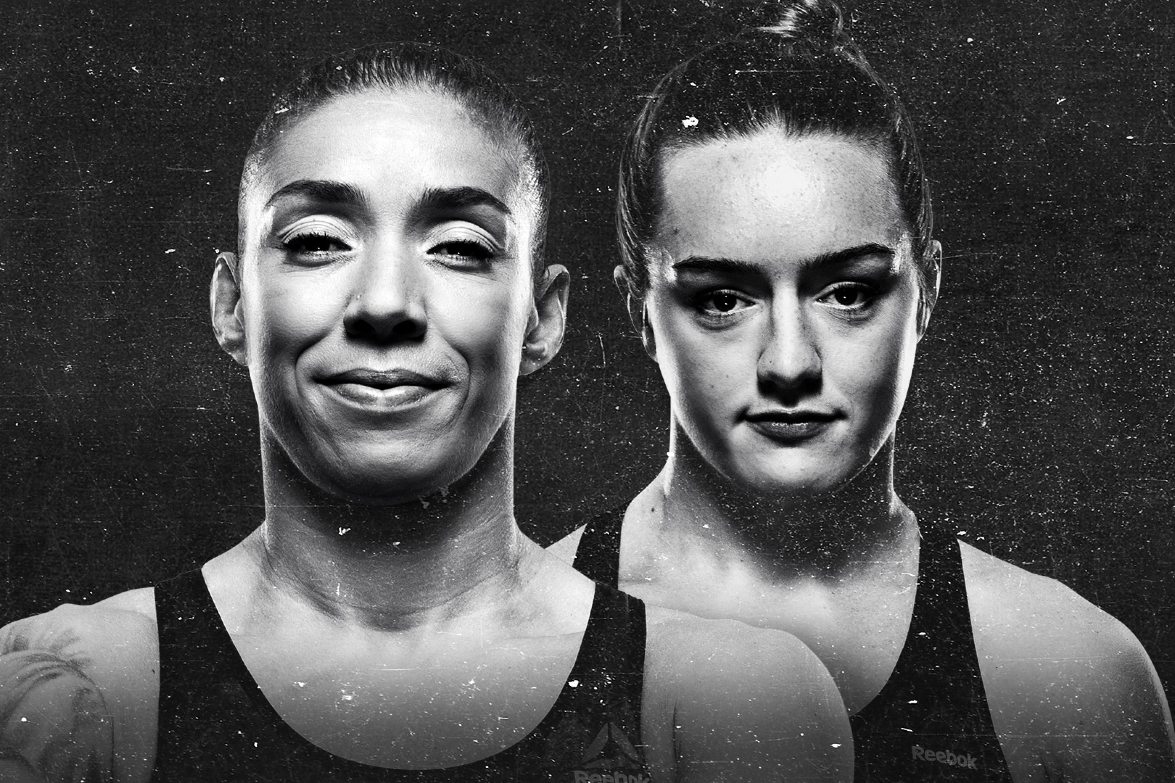 UFC Fight Night: De Randamie vs. Ladd event art