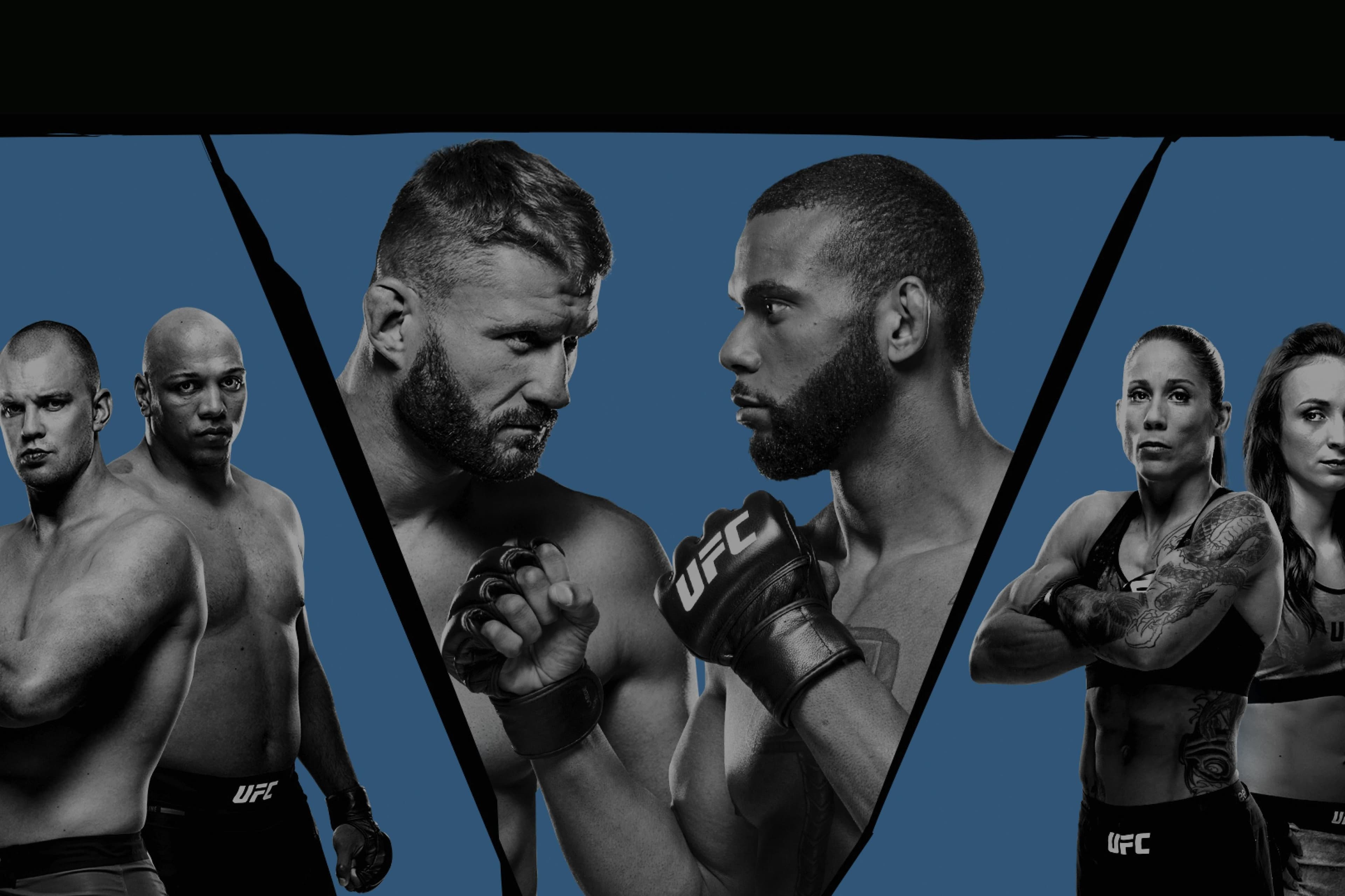 UFC Fight Night: Blachowicz vs. Santos event art
