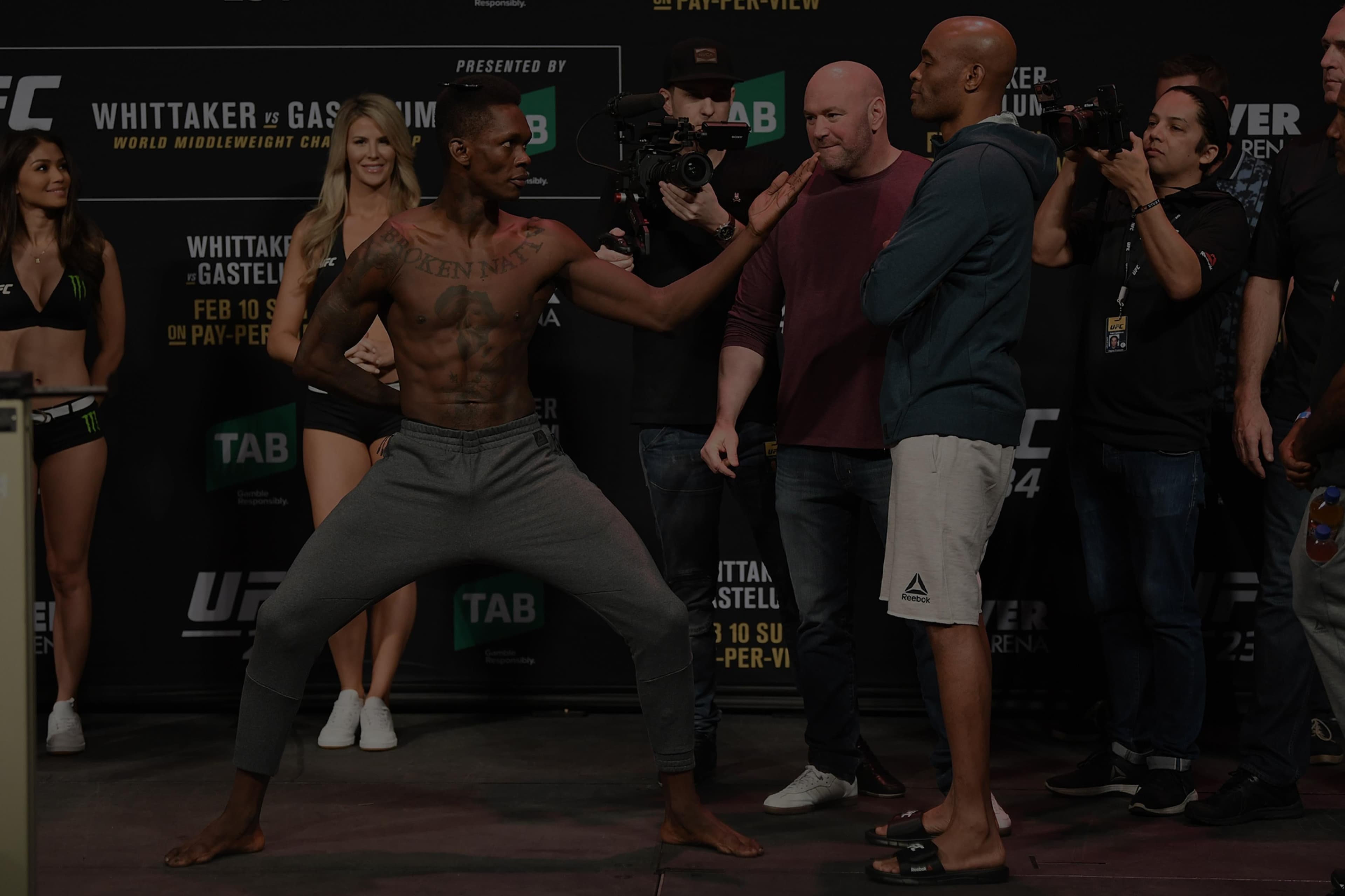 UFC 234: Adesanya vs. Silva event art