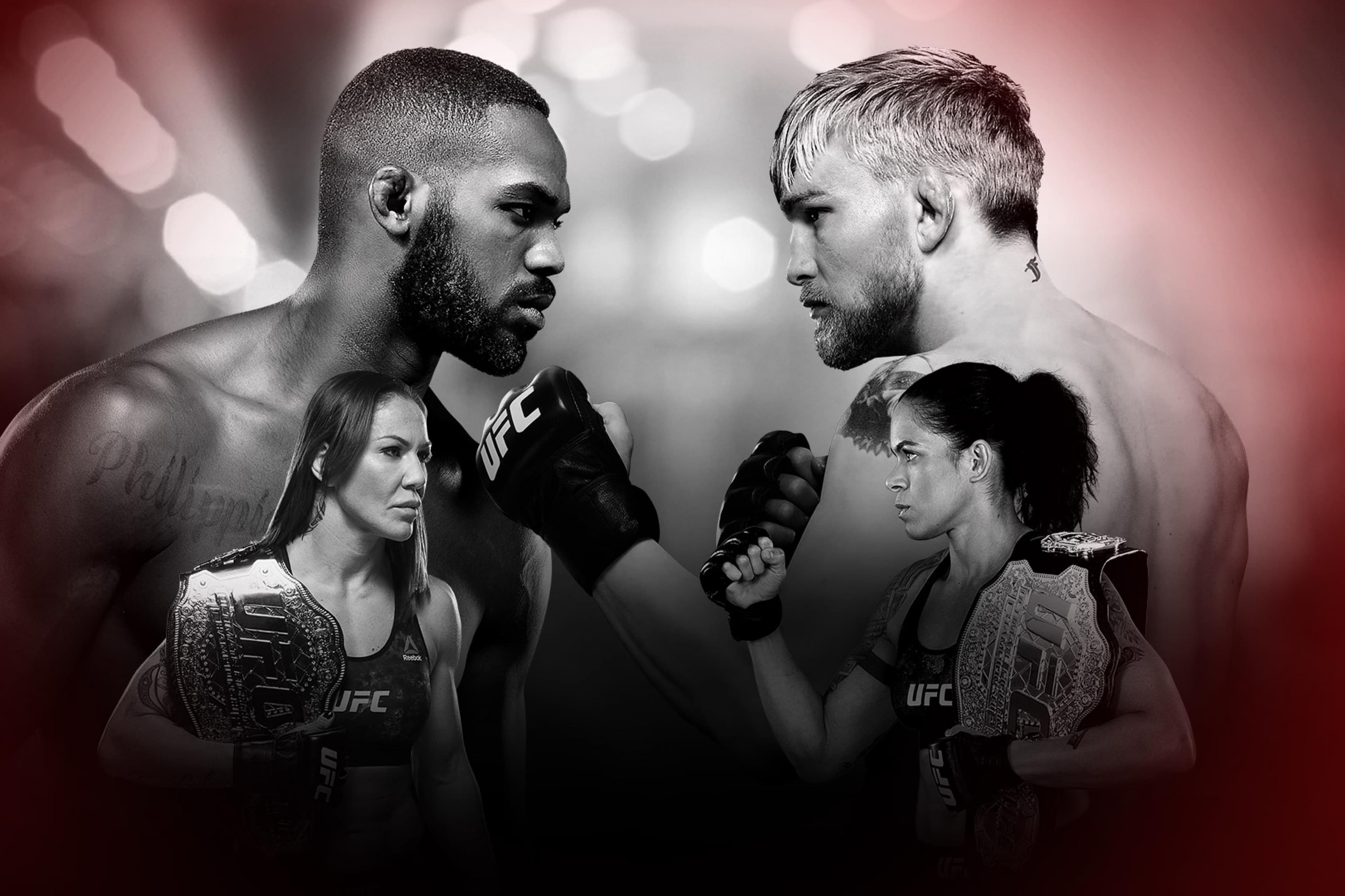 UFC 232: Jones vs. Gustafsson 2 event art