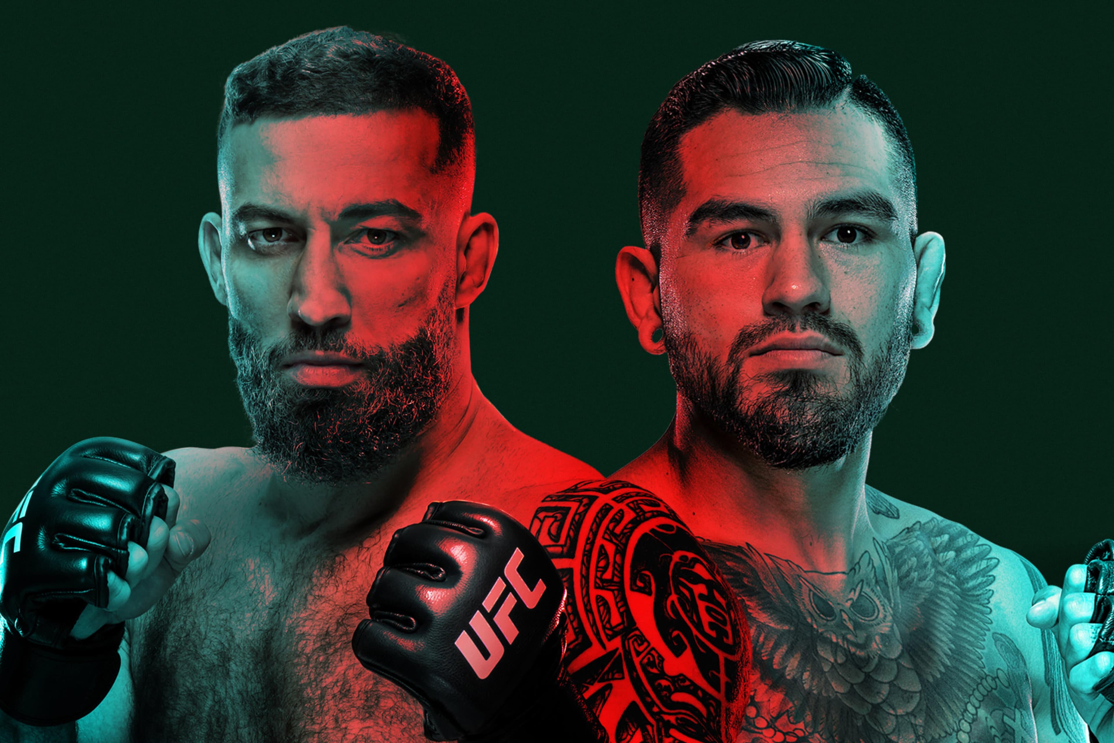 UFC Fight Night: Dolidze vs. Hernandez event art