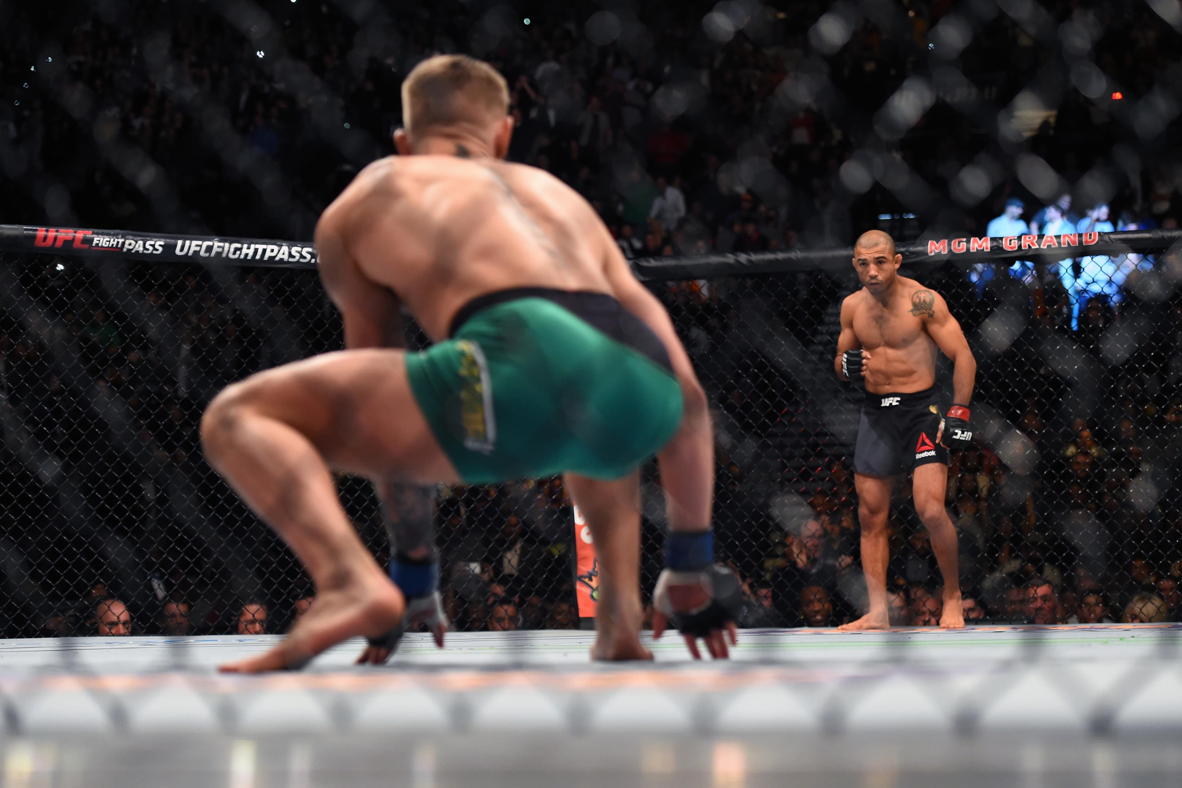 UFC 194: Aldo vs McGregor event art