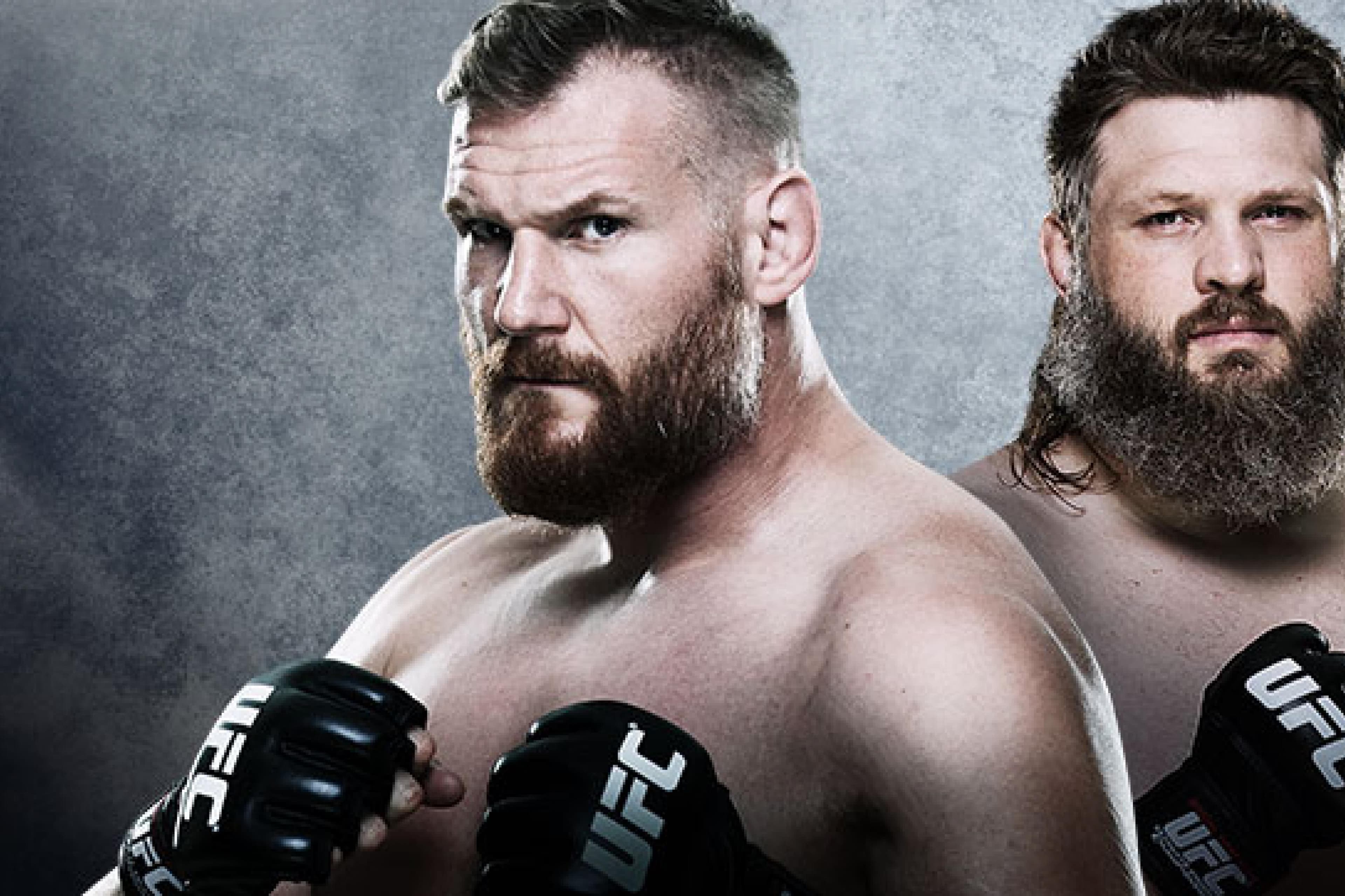 UFC Fight Night: Barnett vs Nelson event art