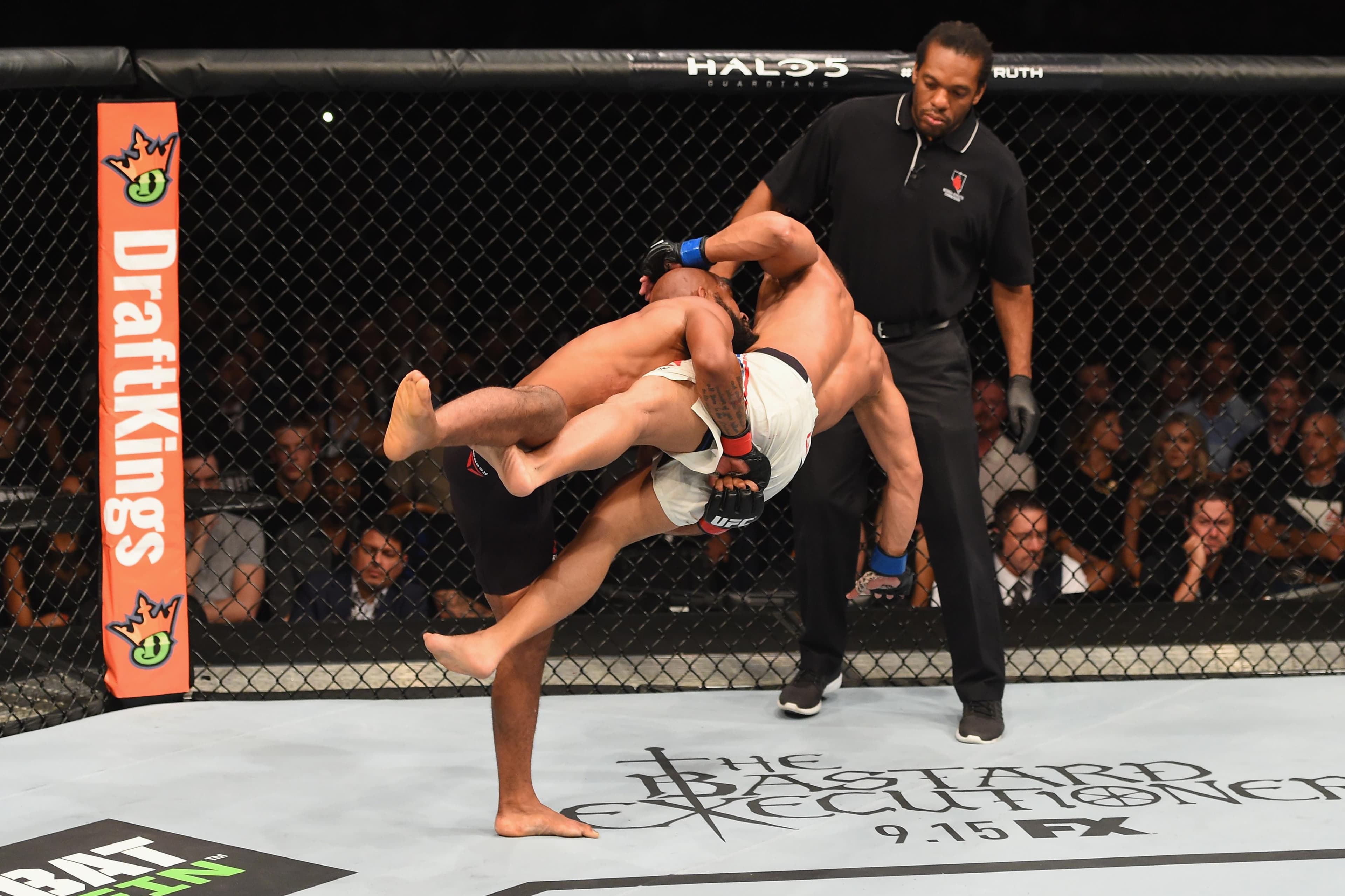 UFC 191: Johnson vs Dodson 2 event art
