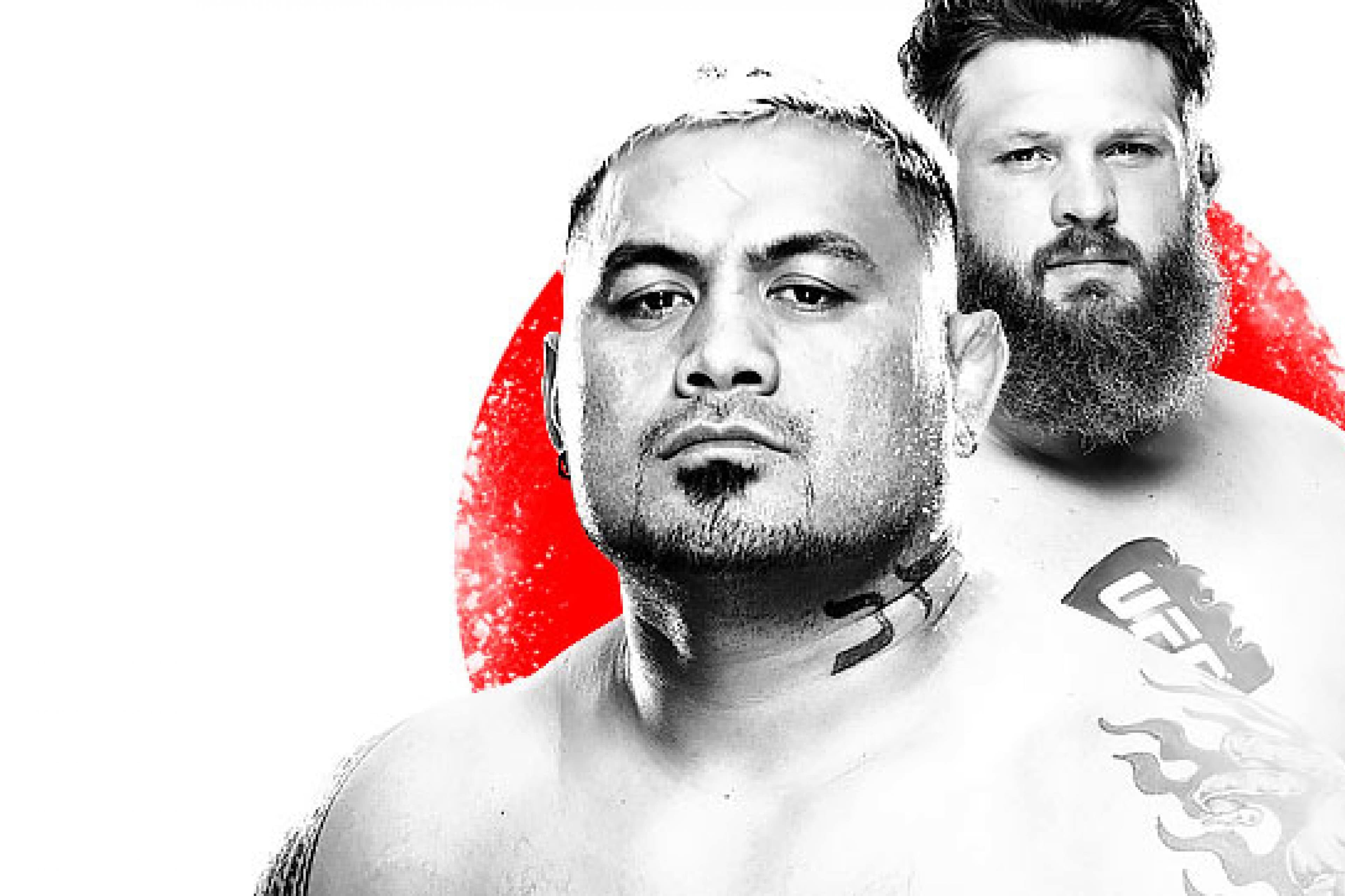 UFC Fight Night: Hunt vs Nelson event art