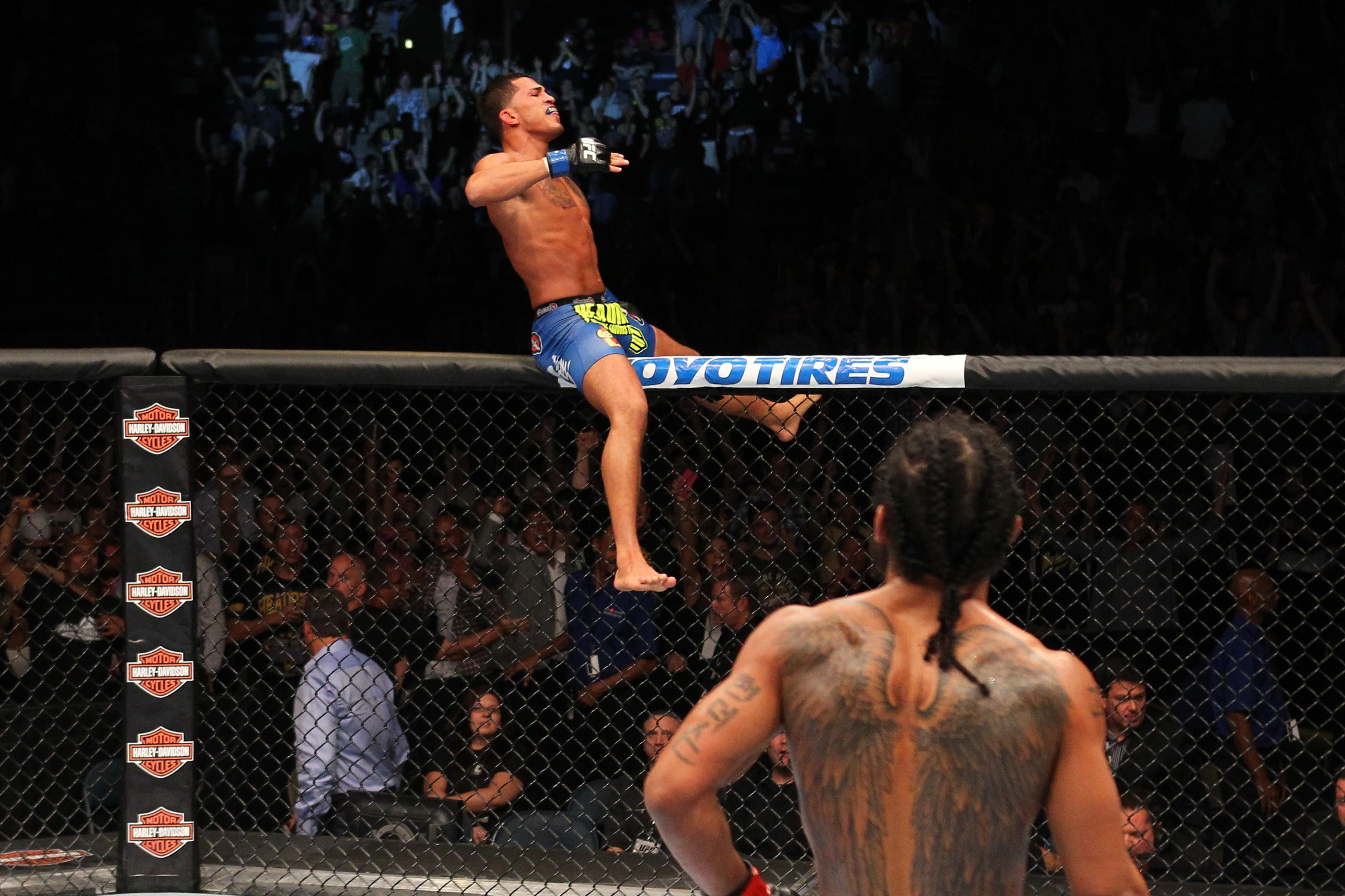 UFC 164: Henderson vs Pettis 2 event art