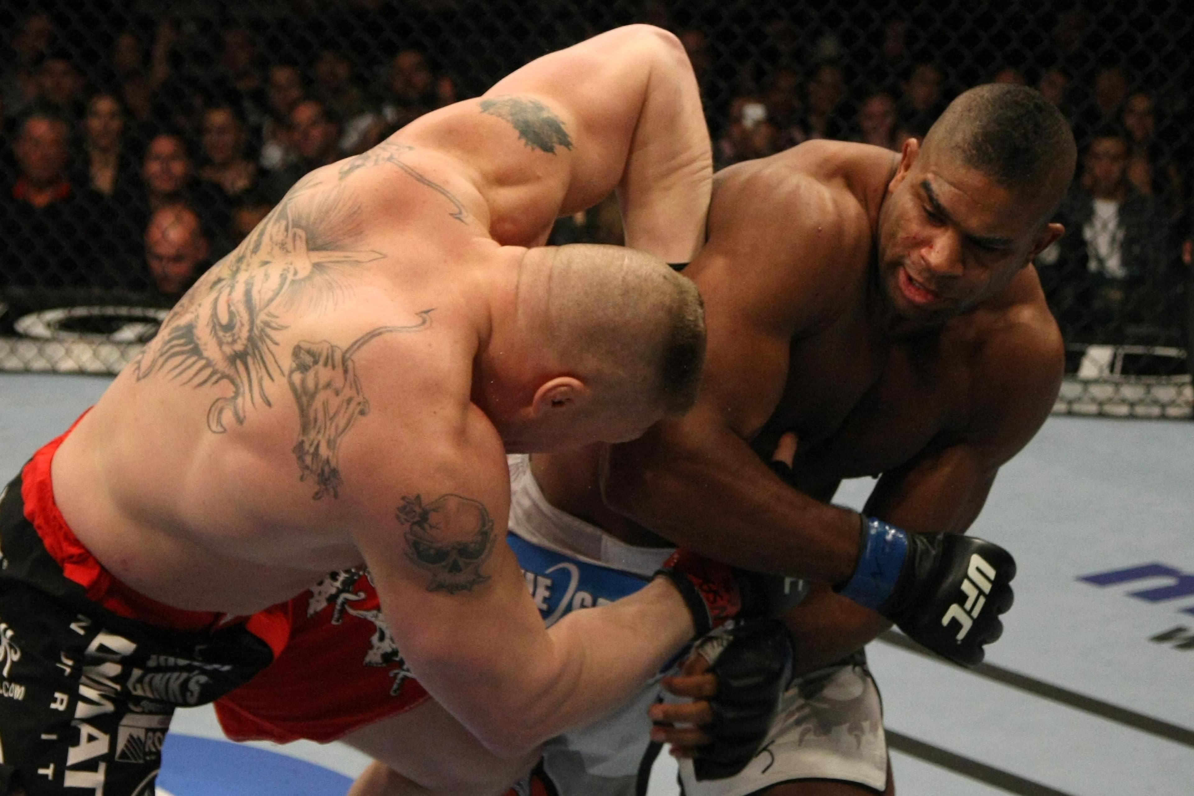 UFC 141: Lesnar vs Overeem event art