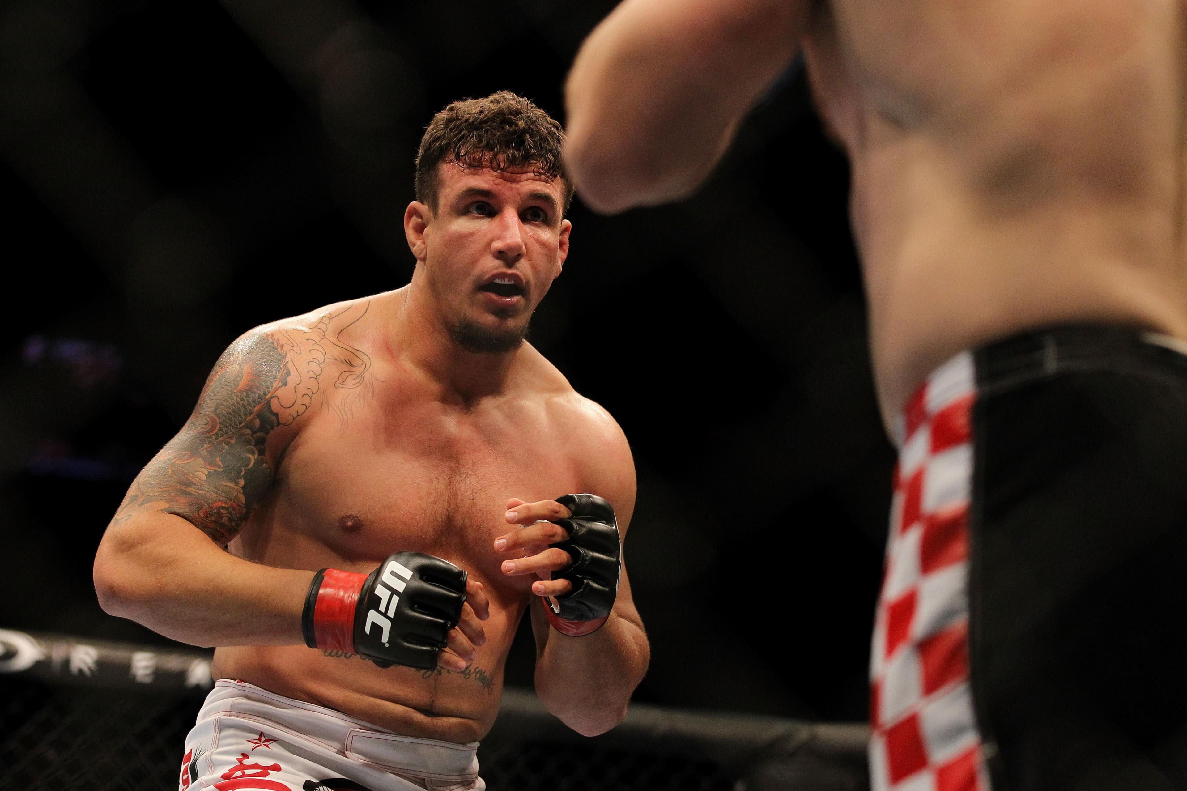 UFC 119: Mir vs Cro Cop event art