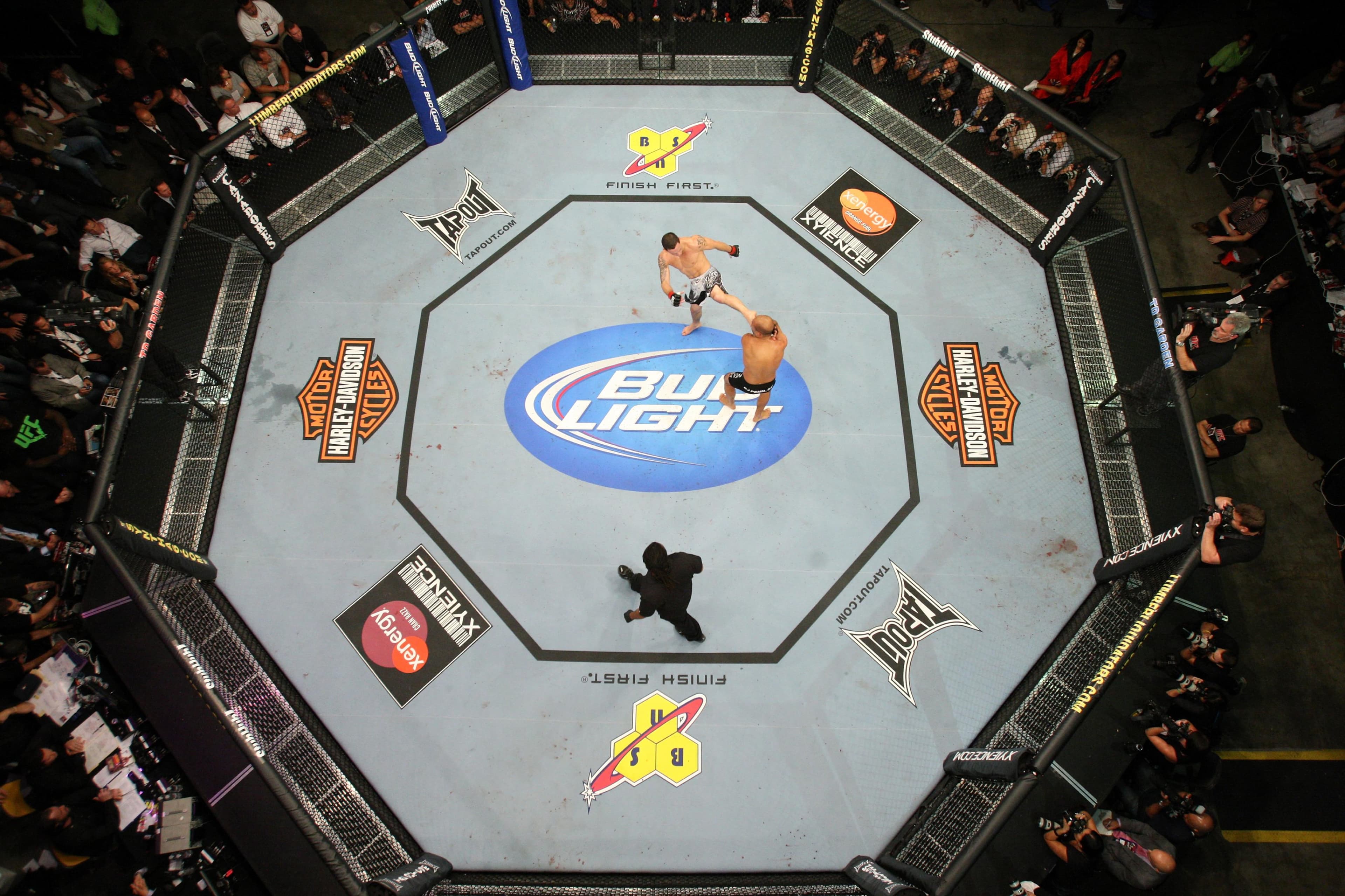 UFC 118: Edgar vs Penn 2 event art