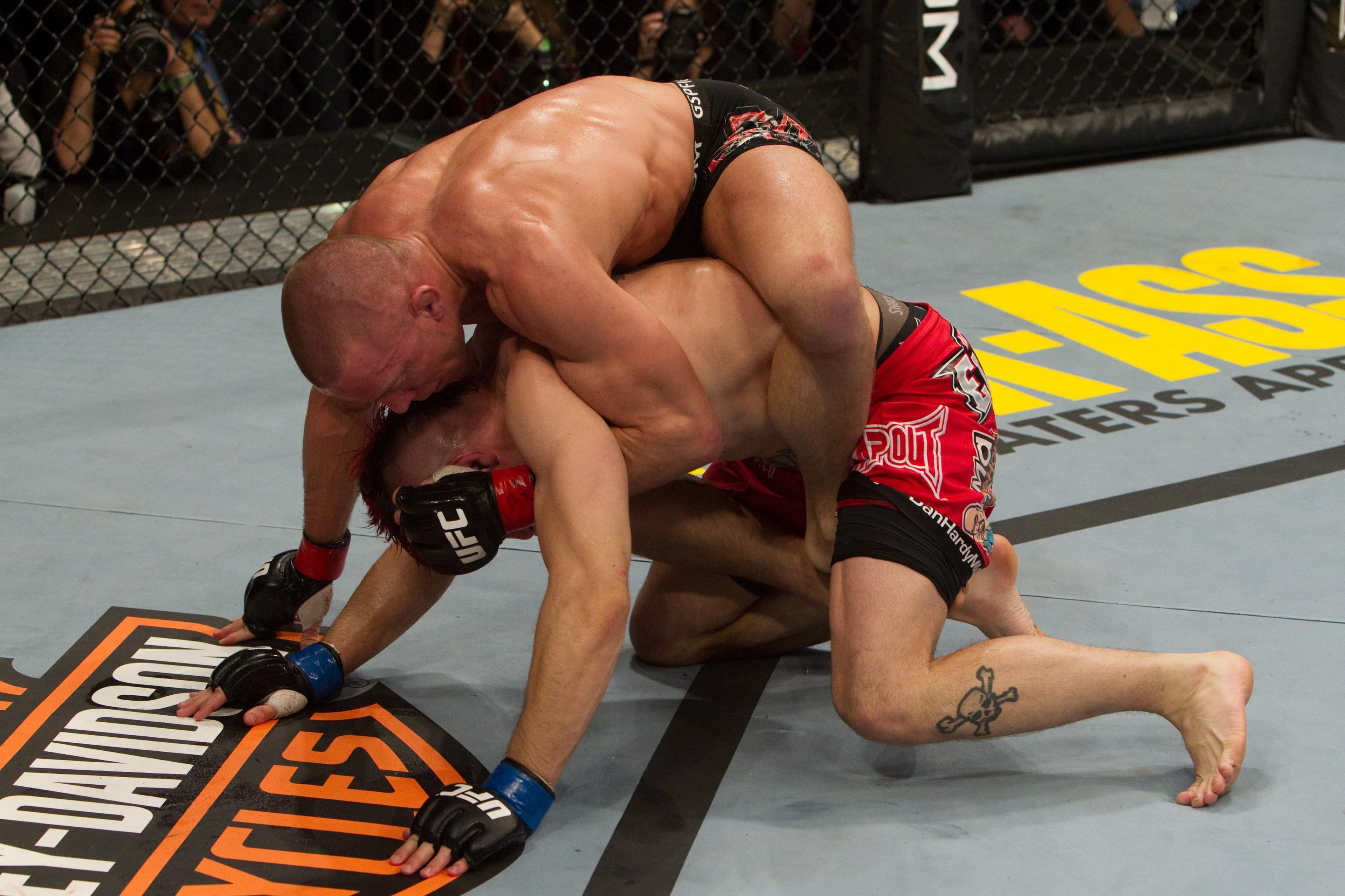 UFC 111: St-Pierre vs Hardy event art