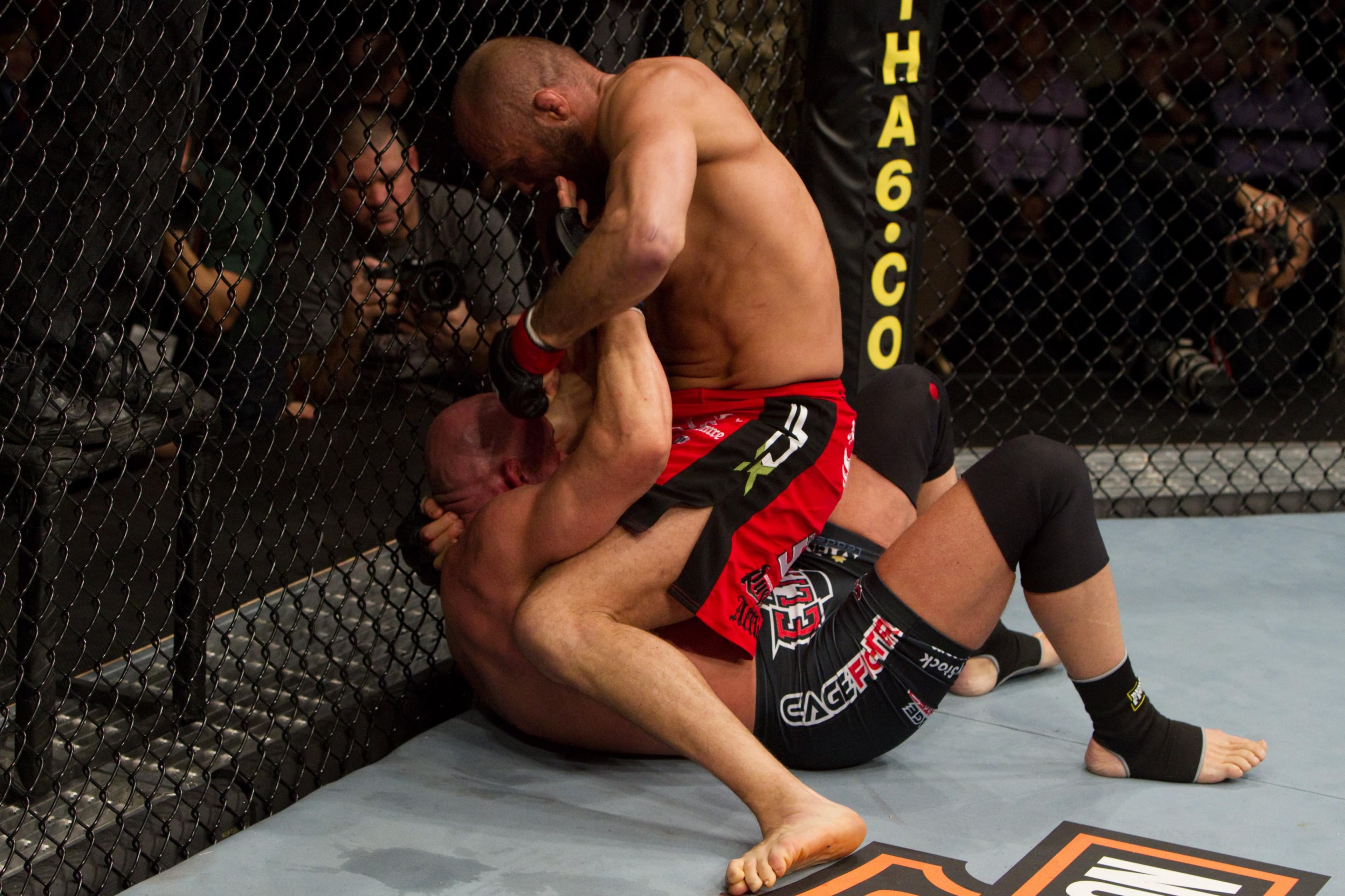 UFC 109: Relentless event art