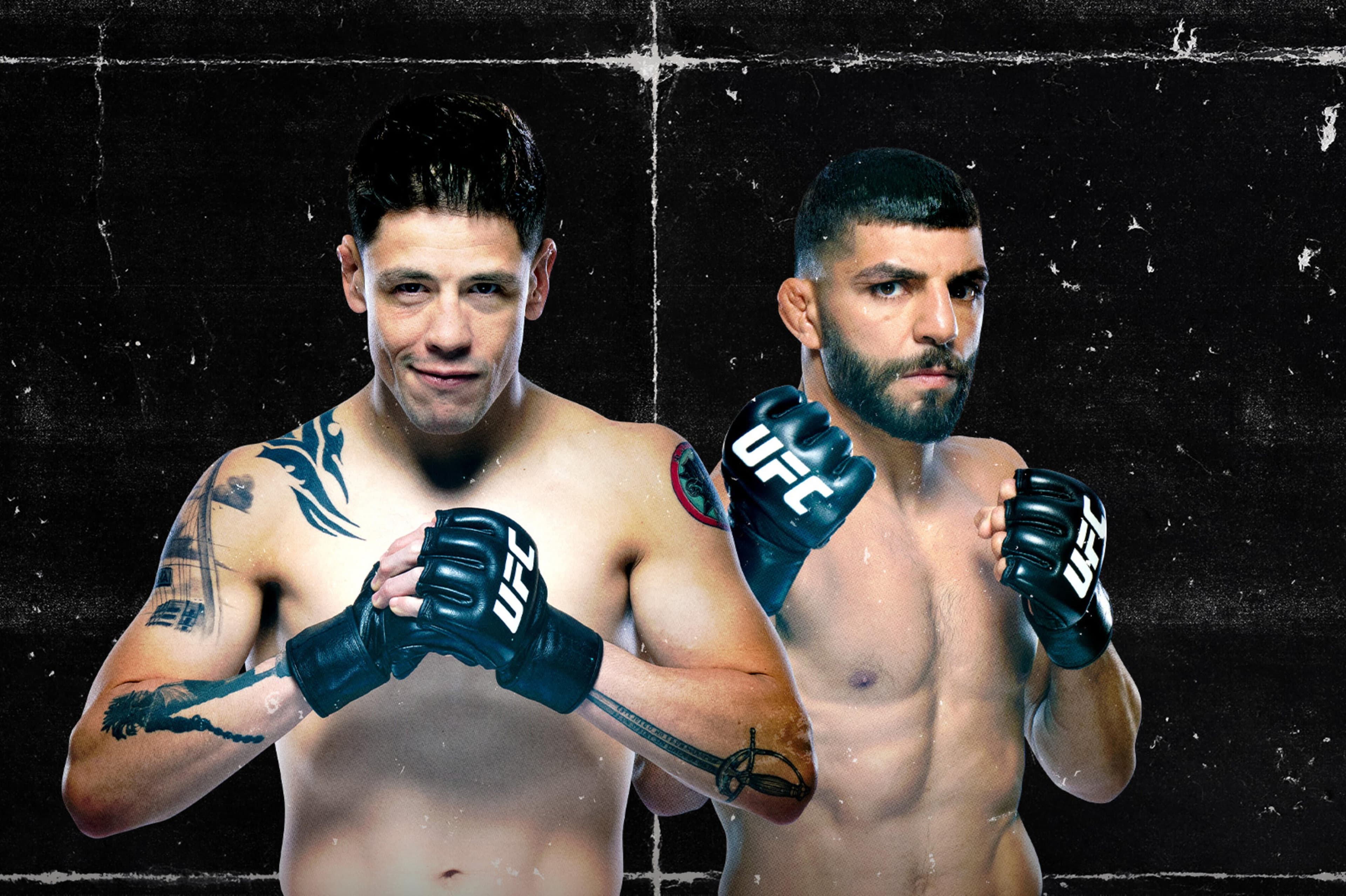 UFC Fight Night: Moreno vs. Albazi event art