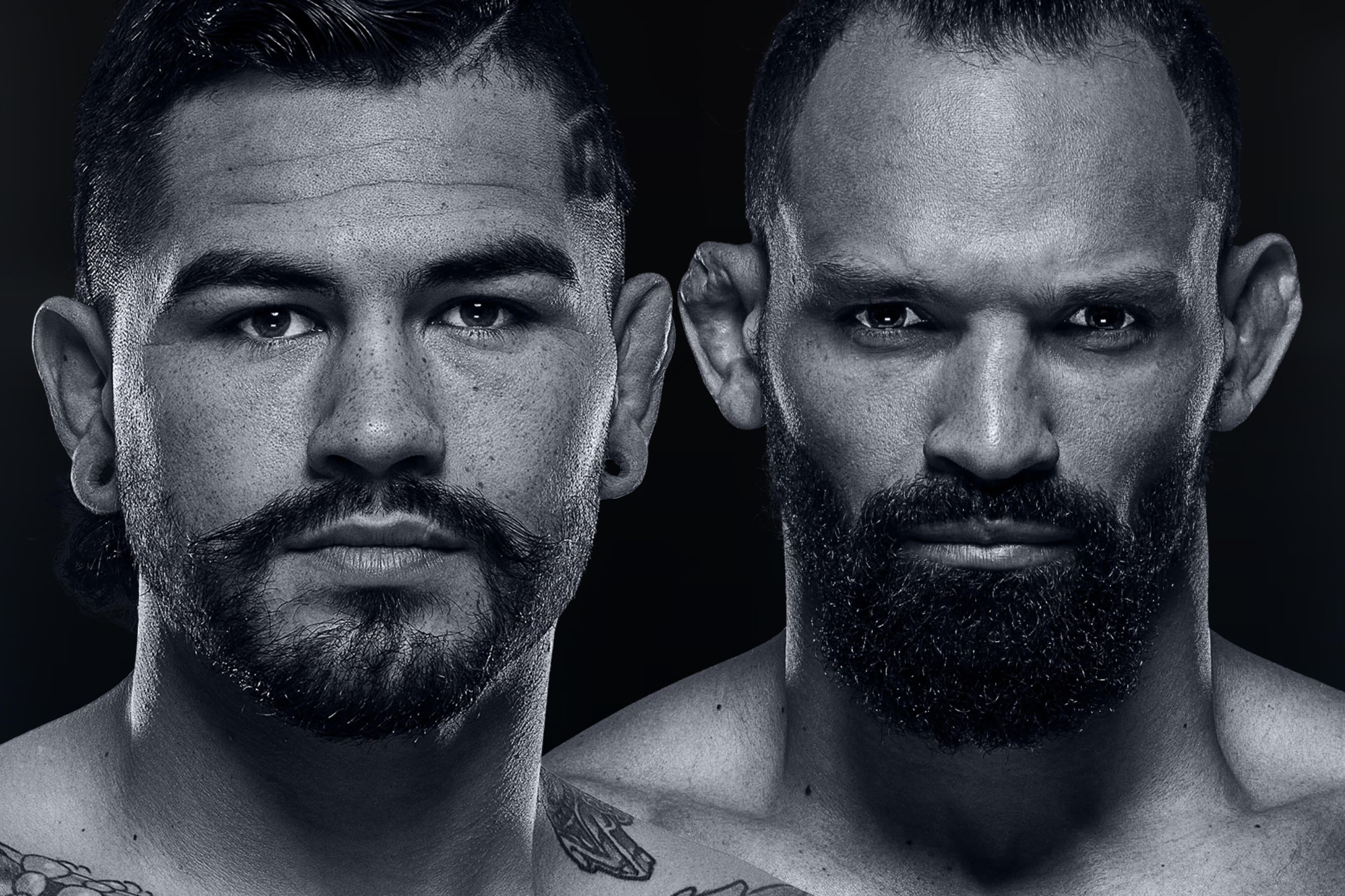 UFC Fight Night: Hernandez vs. Pereira event art