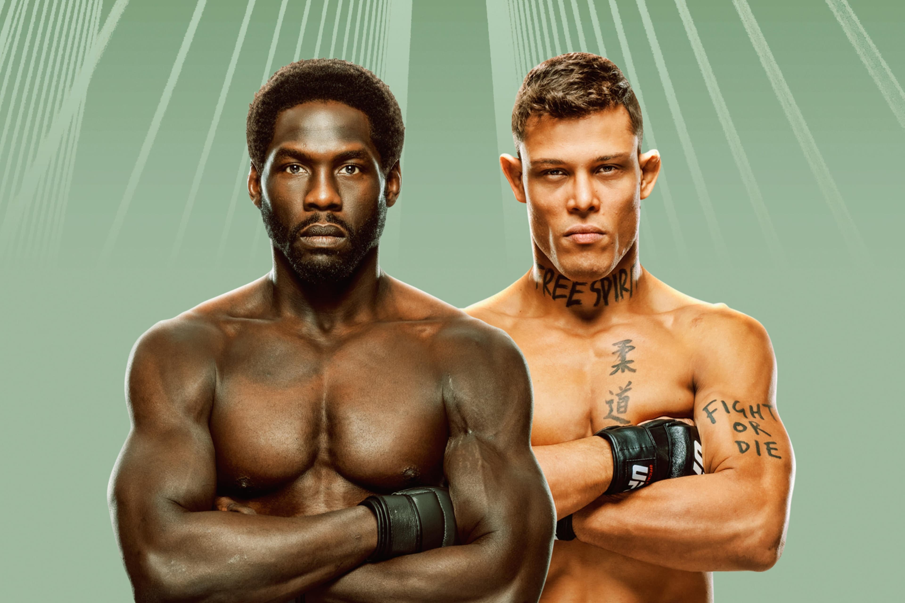 UFC Fight Night: Cannonier vs. Borralho event art