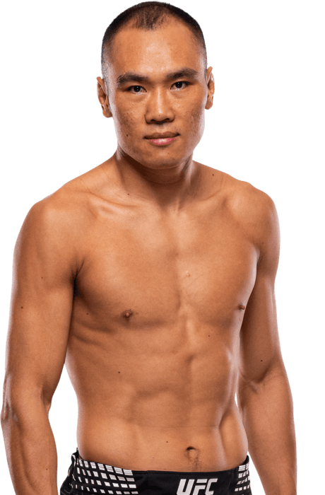 Ding Meng