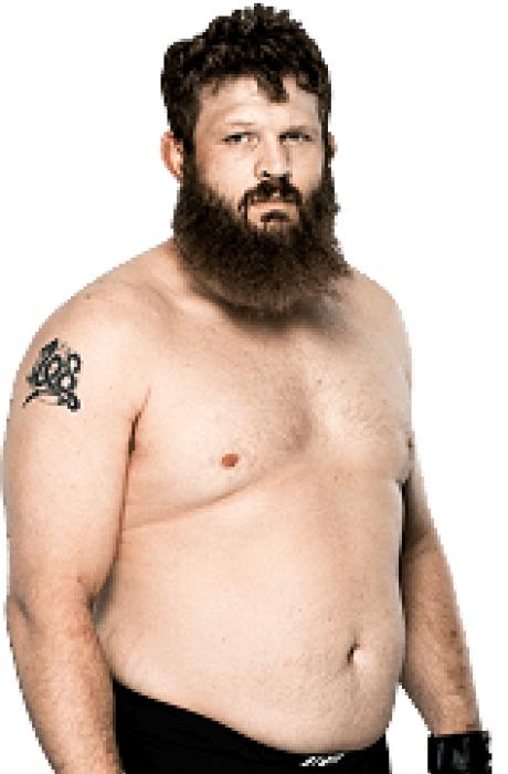Roy Nelson