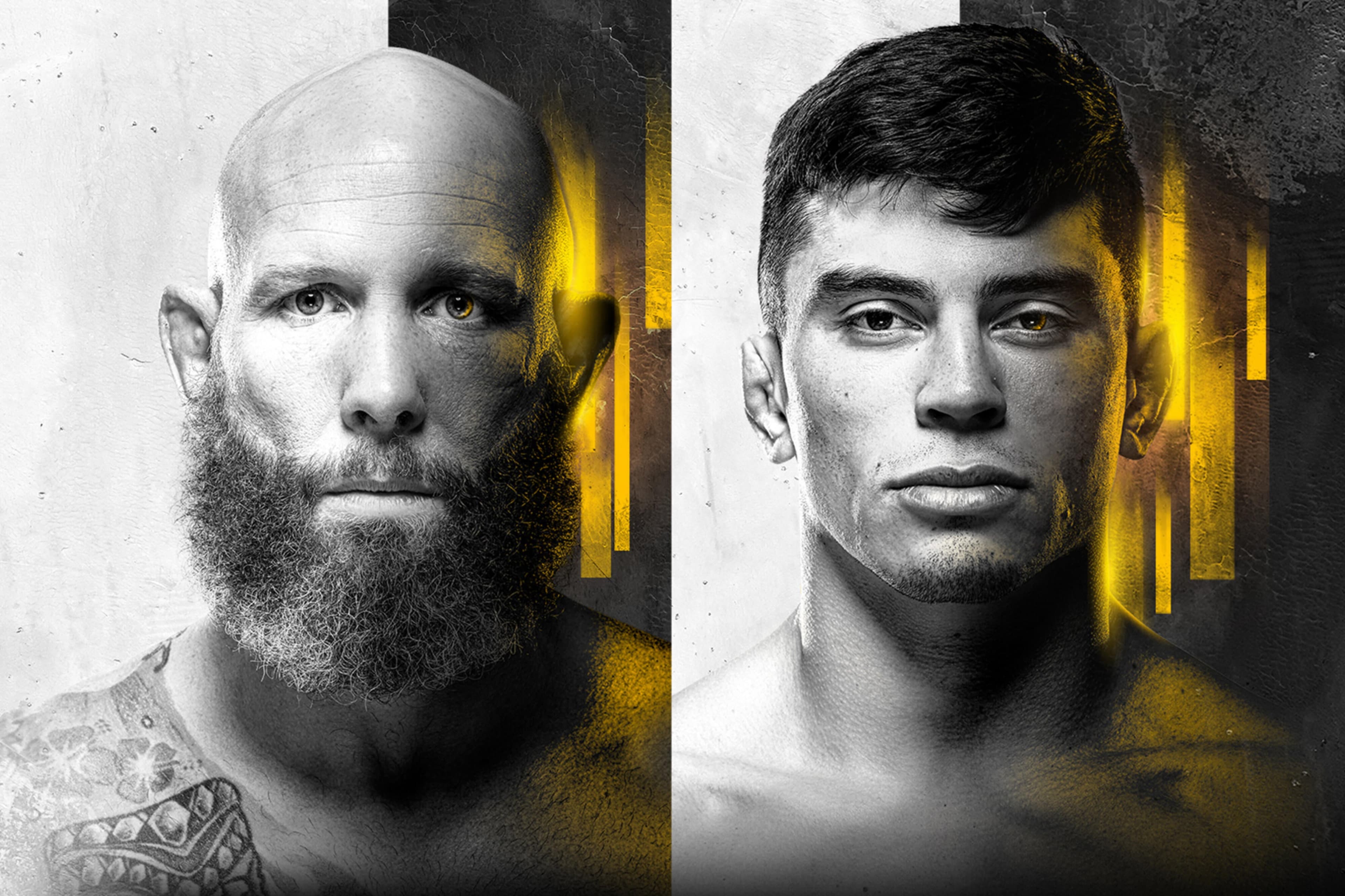 UFC Fight Night: Emmett vs. Vallejos event art