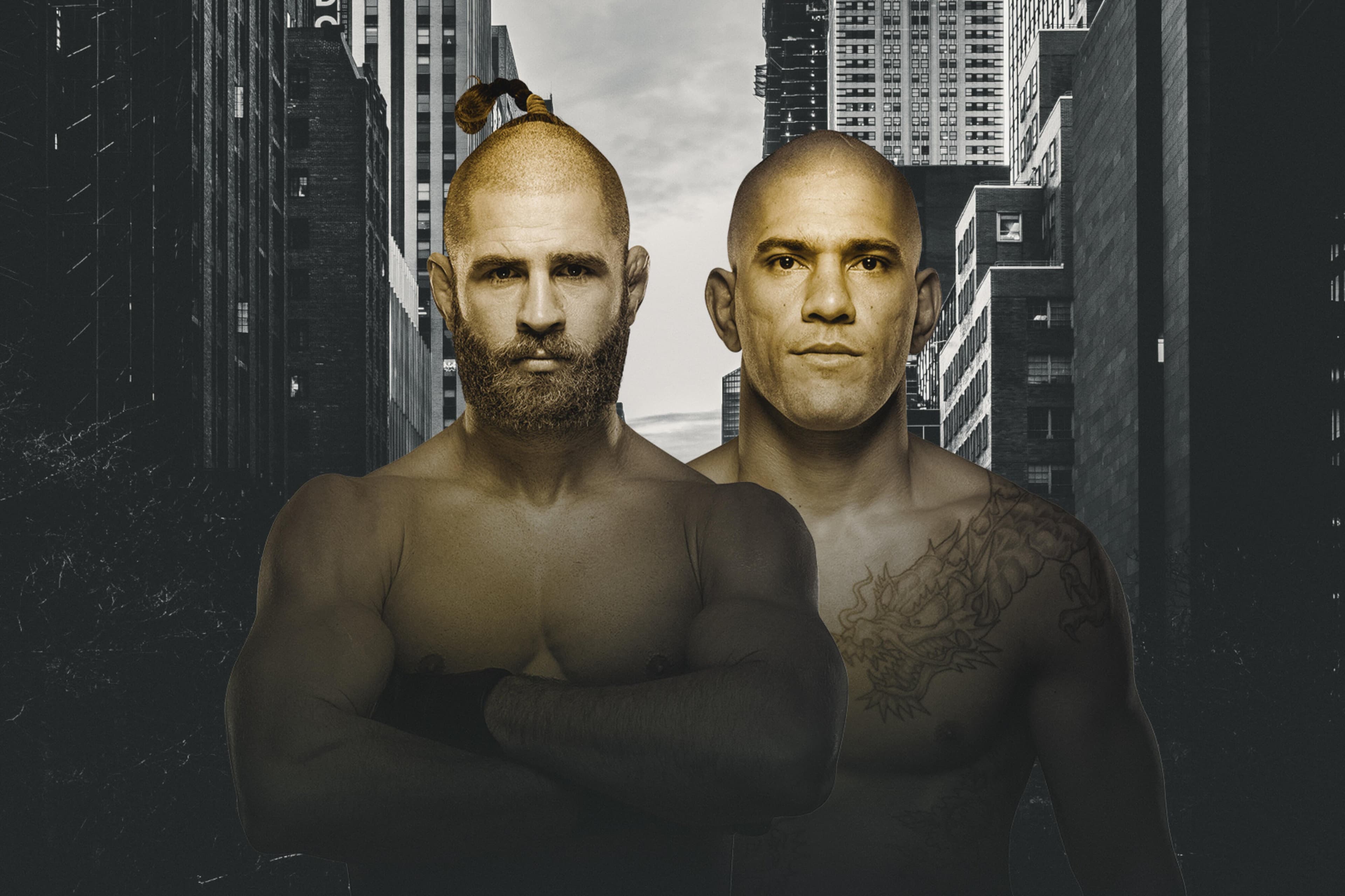 UFC 295: Prochazka vs. Pereira event art