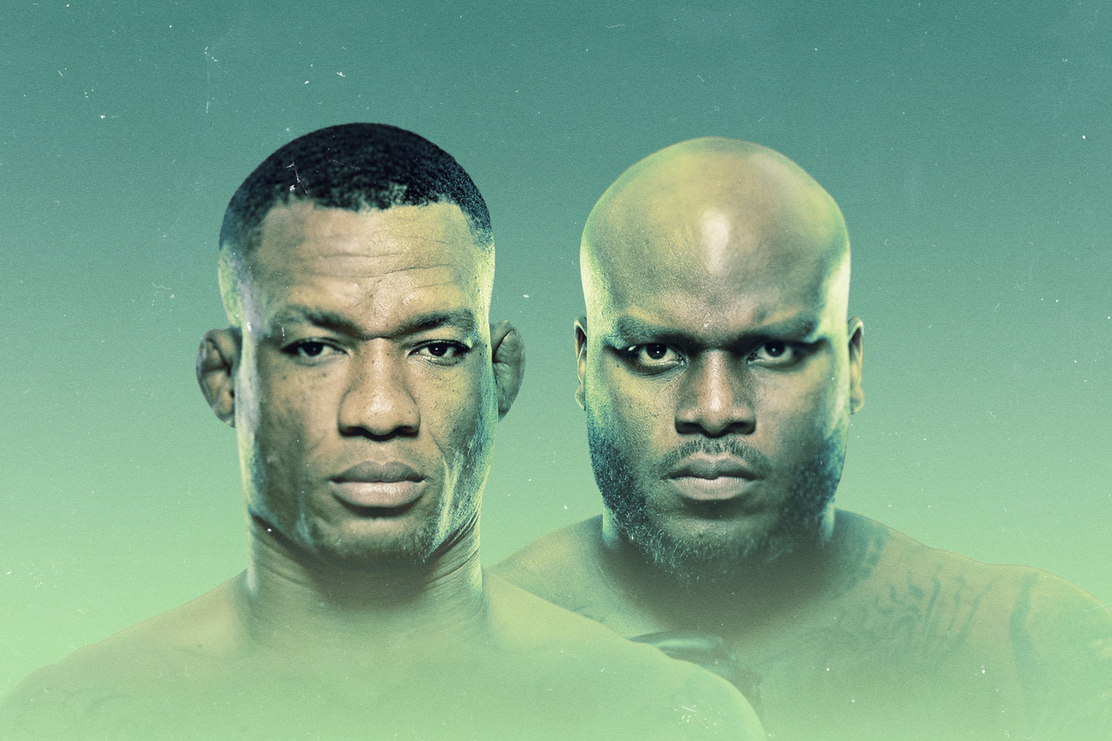 UFC Fight Night: Almeida vs. Lewis event art
