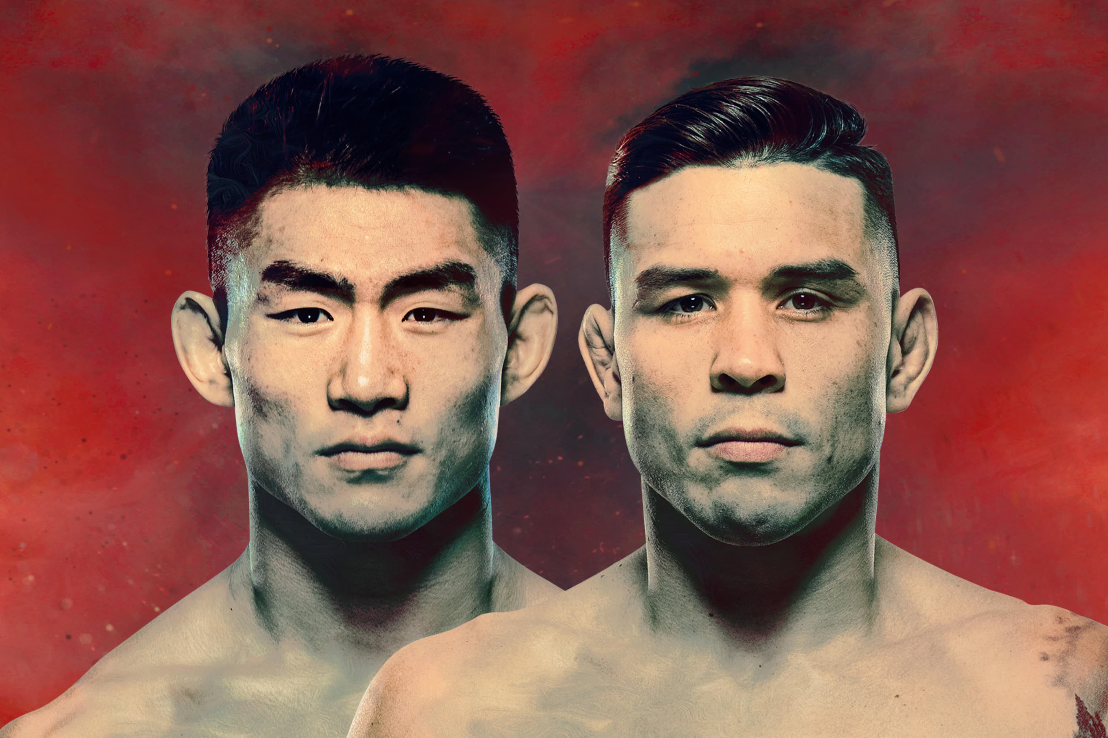 UFC Fight Night: Song vs. Simon event art