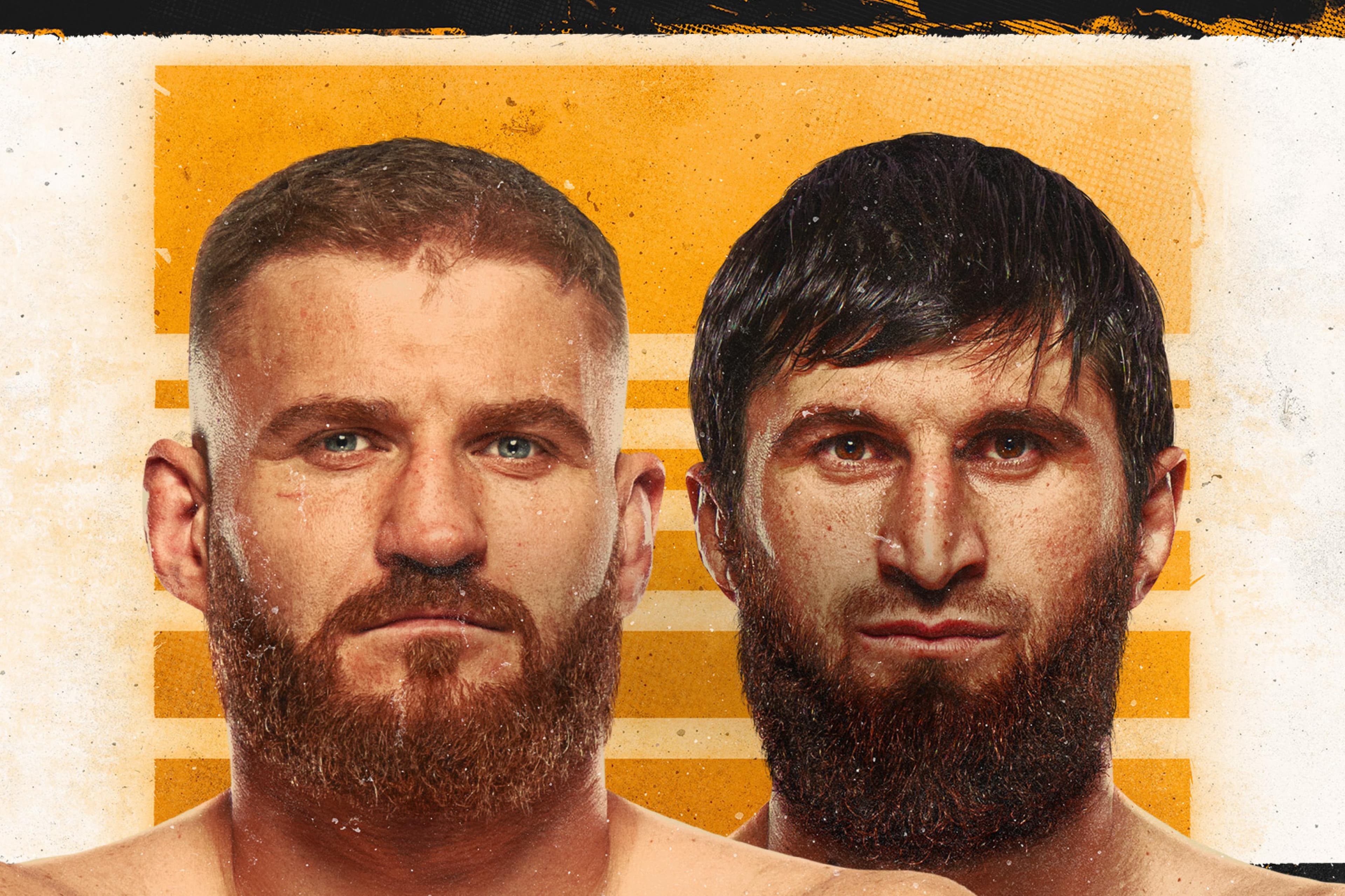 UFC 282: Blachowicz vs. Ankalaev event art