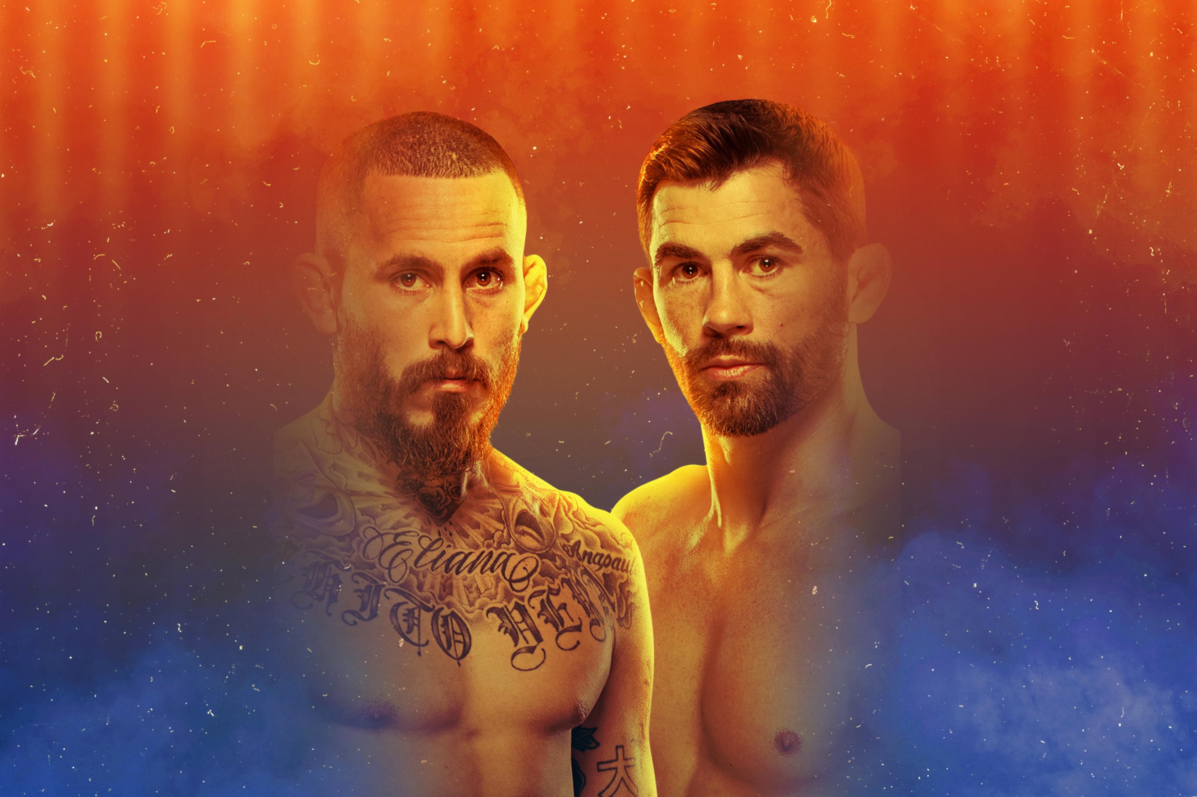 UFC Fight Night: Vera vs. Cruz event art