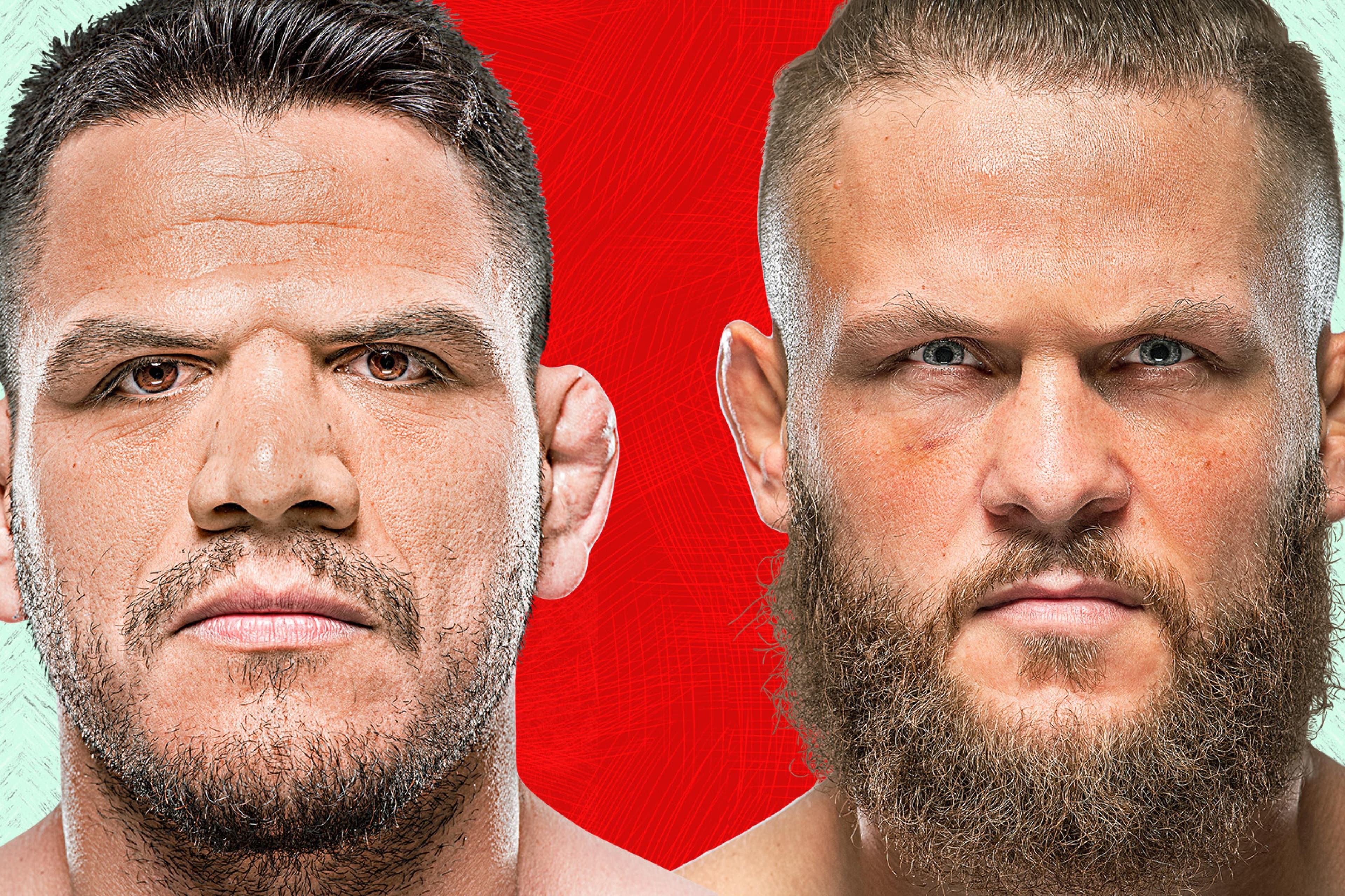 UFC Fight Night: Dos Anjos vs. Fiziev event art