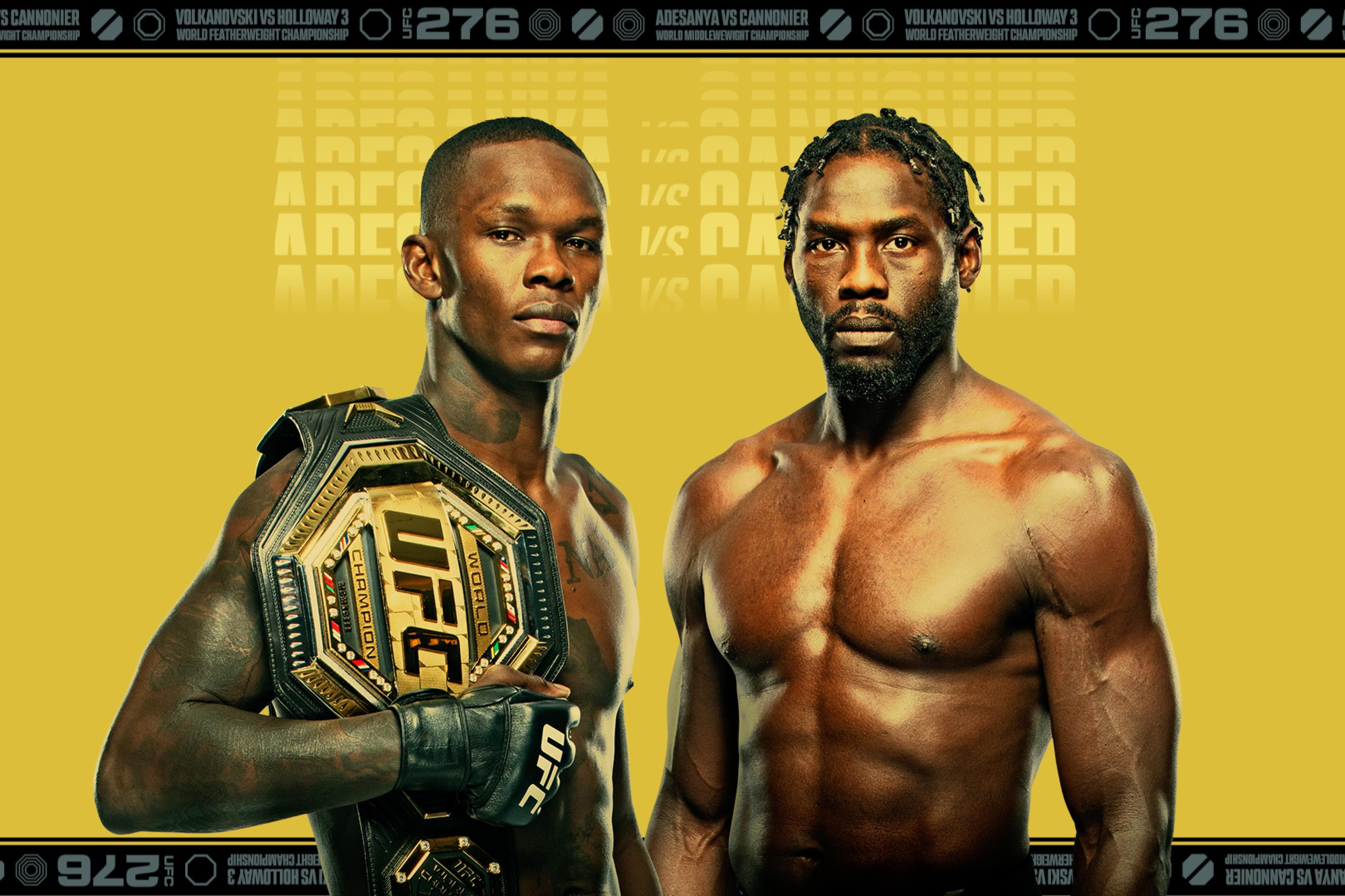 UFC 276: Adesanya vs. Cannonier event art