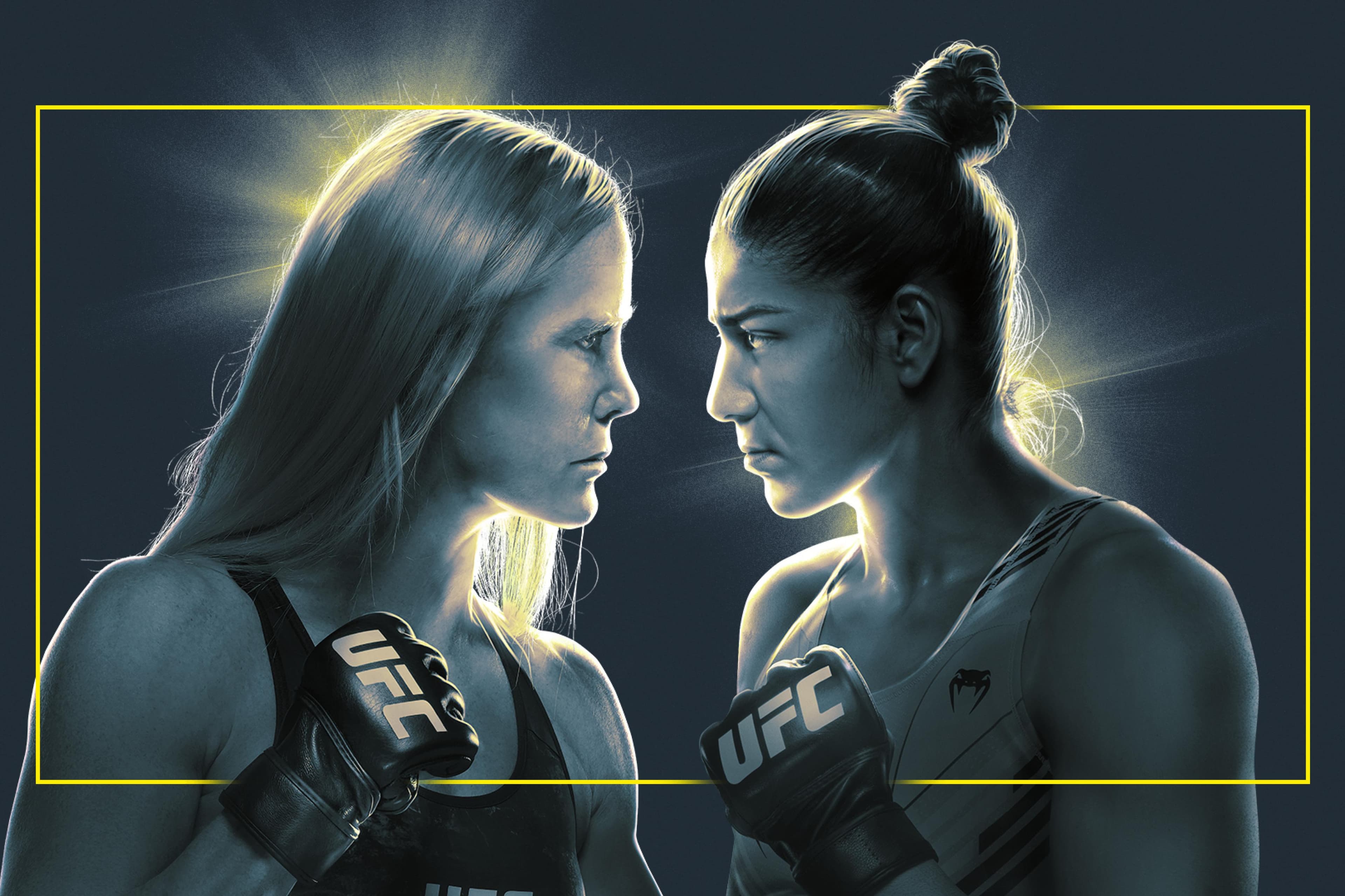 UFC Fight Night: Holm vs. Vieira event art