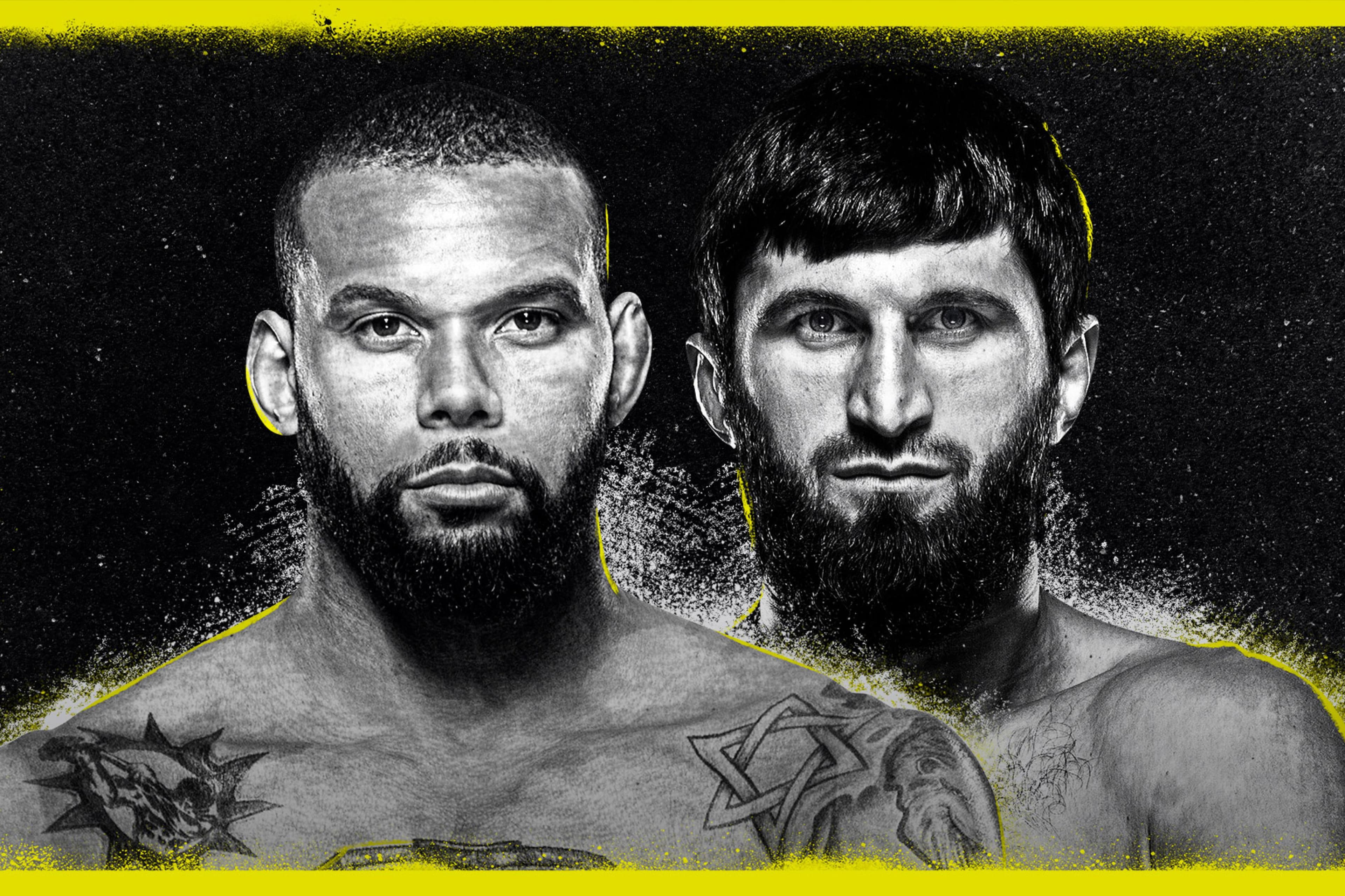 UFC Fight Night: Santos vs. Ankalaev event art