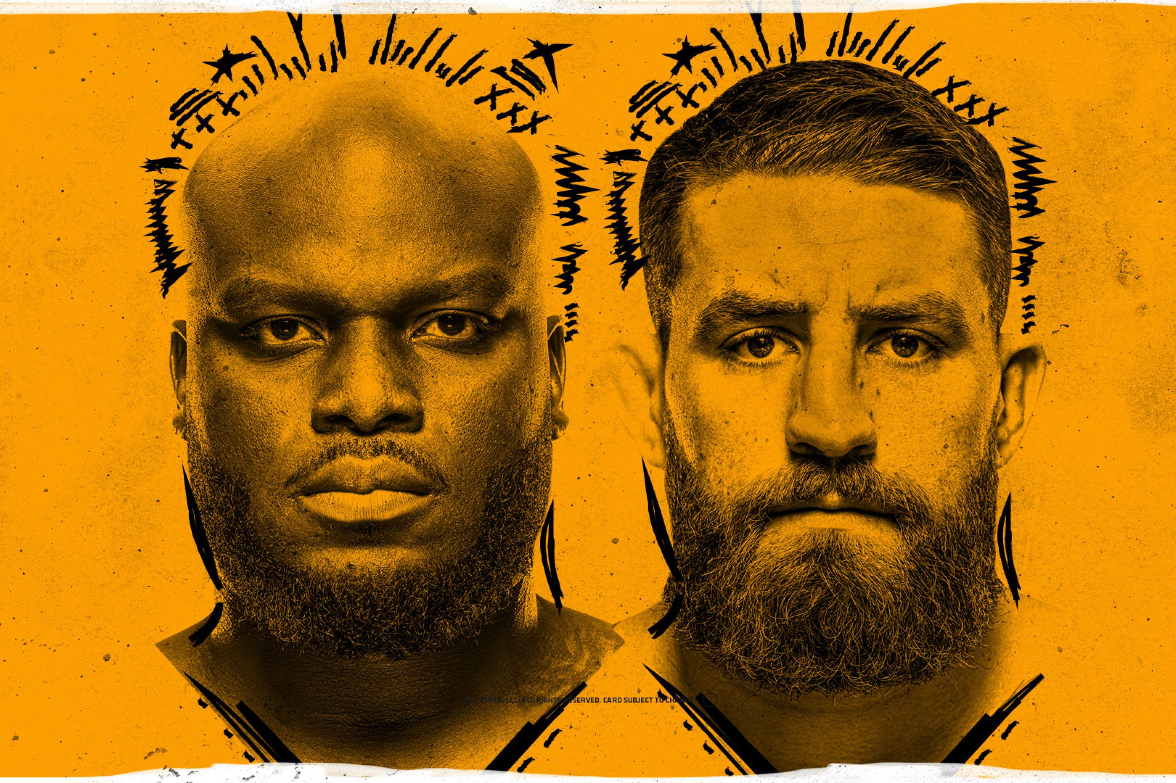 UFC Fight Night: Lewis vs. Daukaus event art