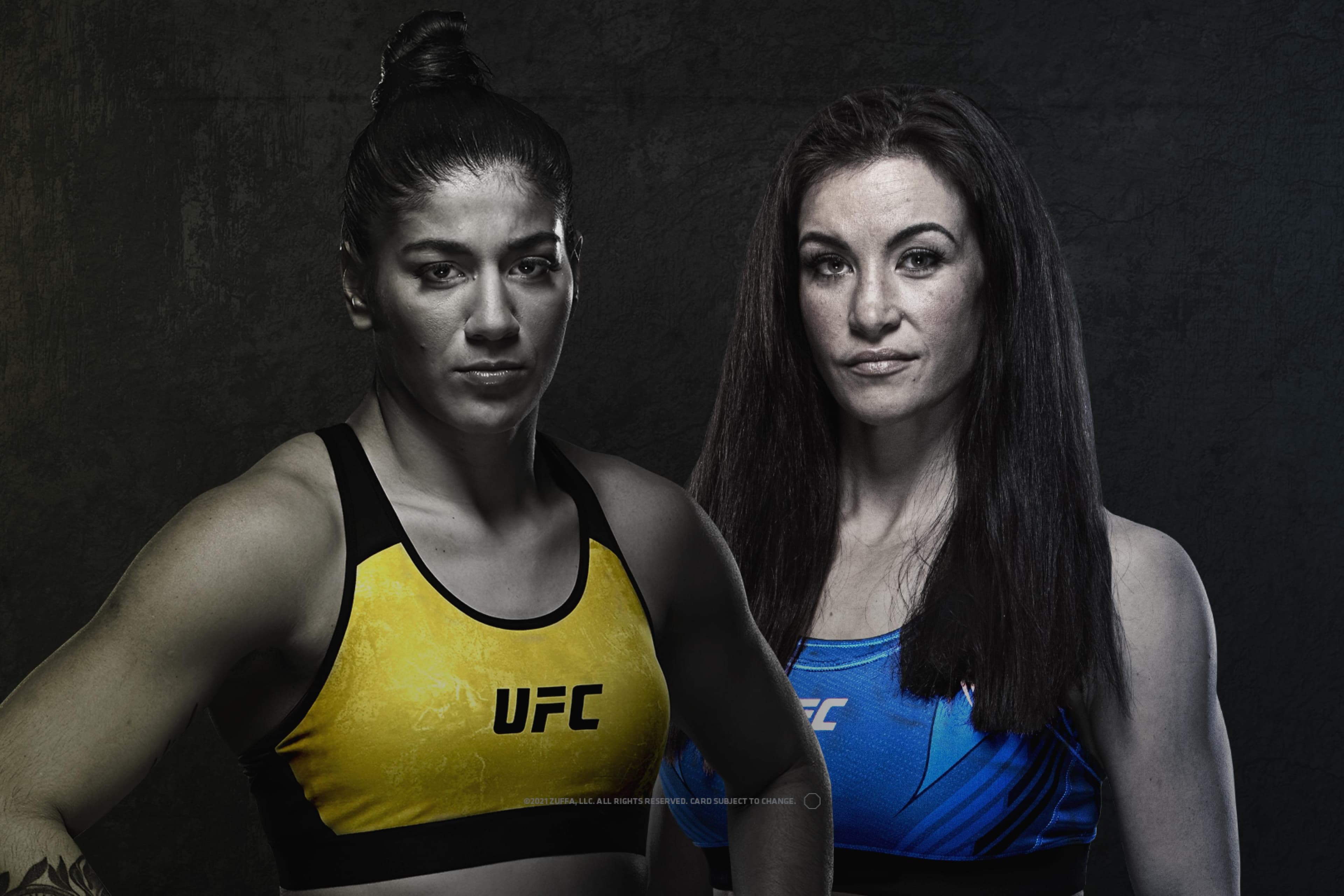 UFC Fight Night: Vieira vs. Tate event art