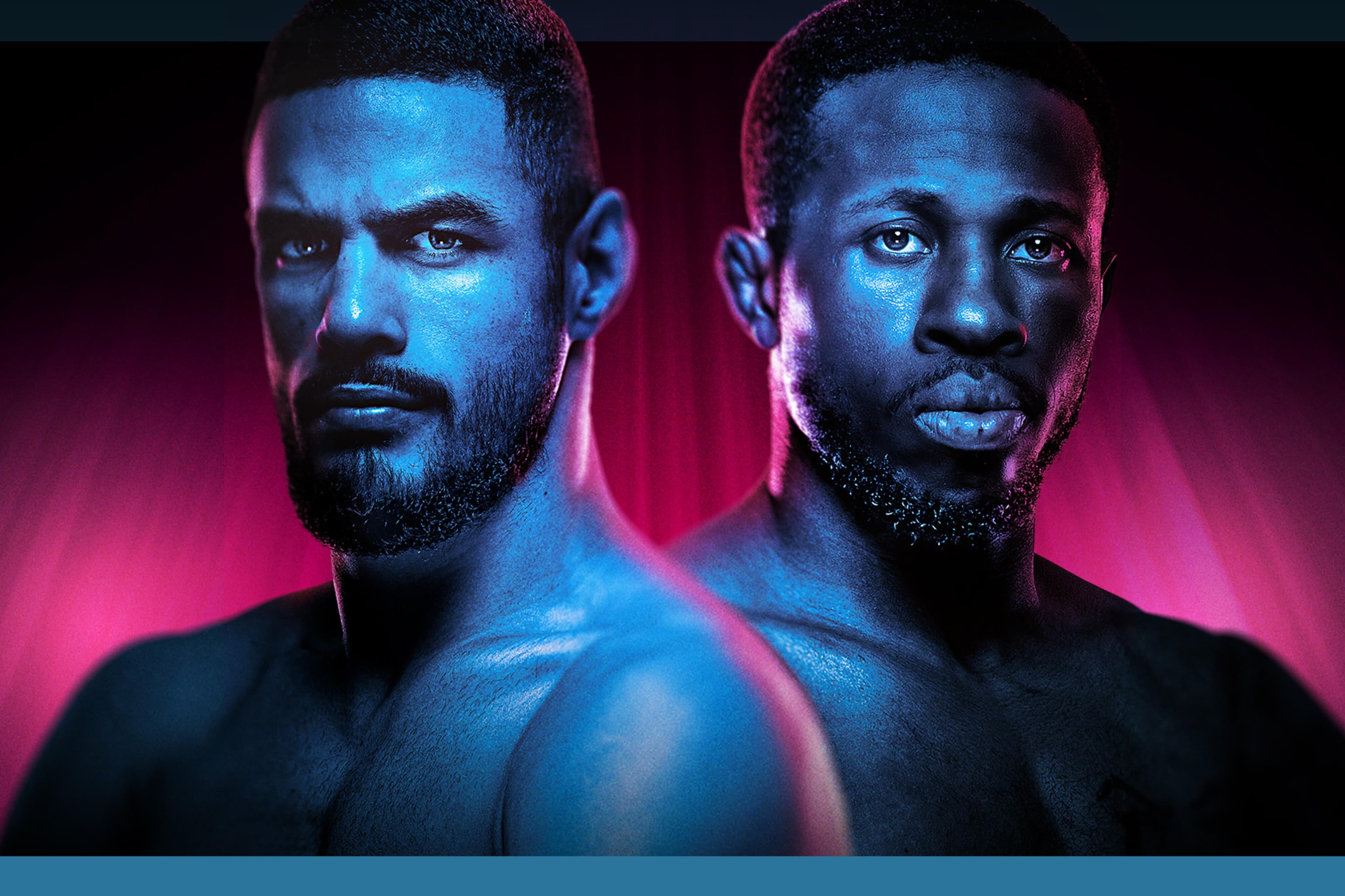 UFC Fight Night: Bonfim vs. Brown event art