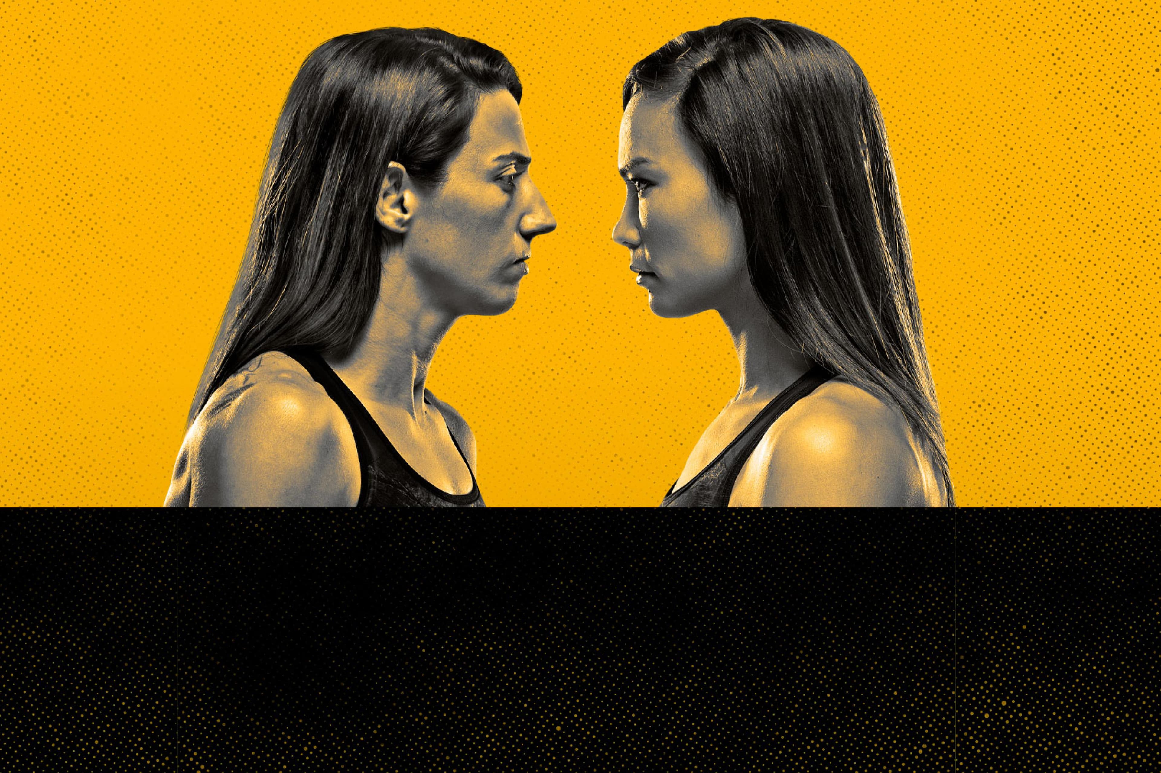 UFC Fight Night: Rodriguez vs. Waterson event art