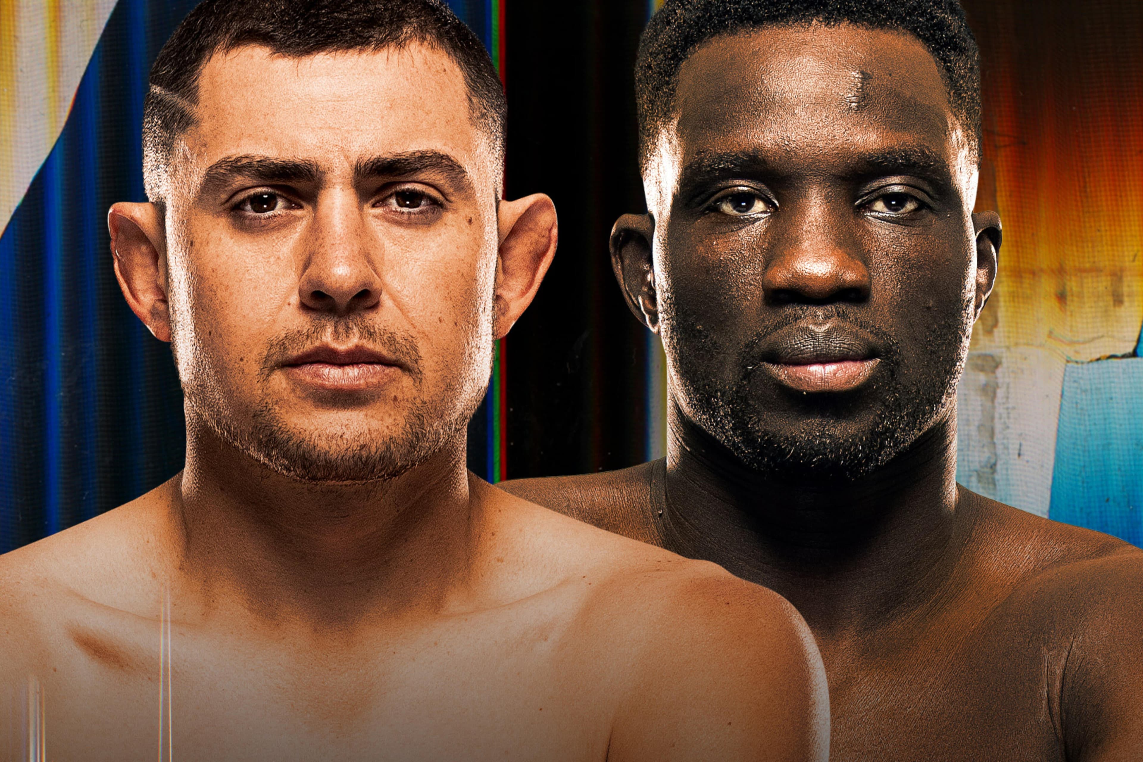 UFC Fight Night: Garcia vs. Onama event art