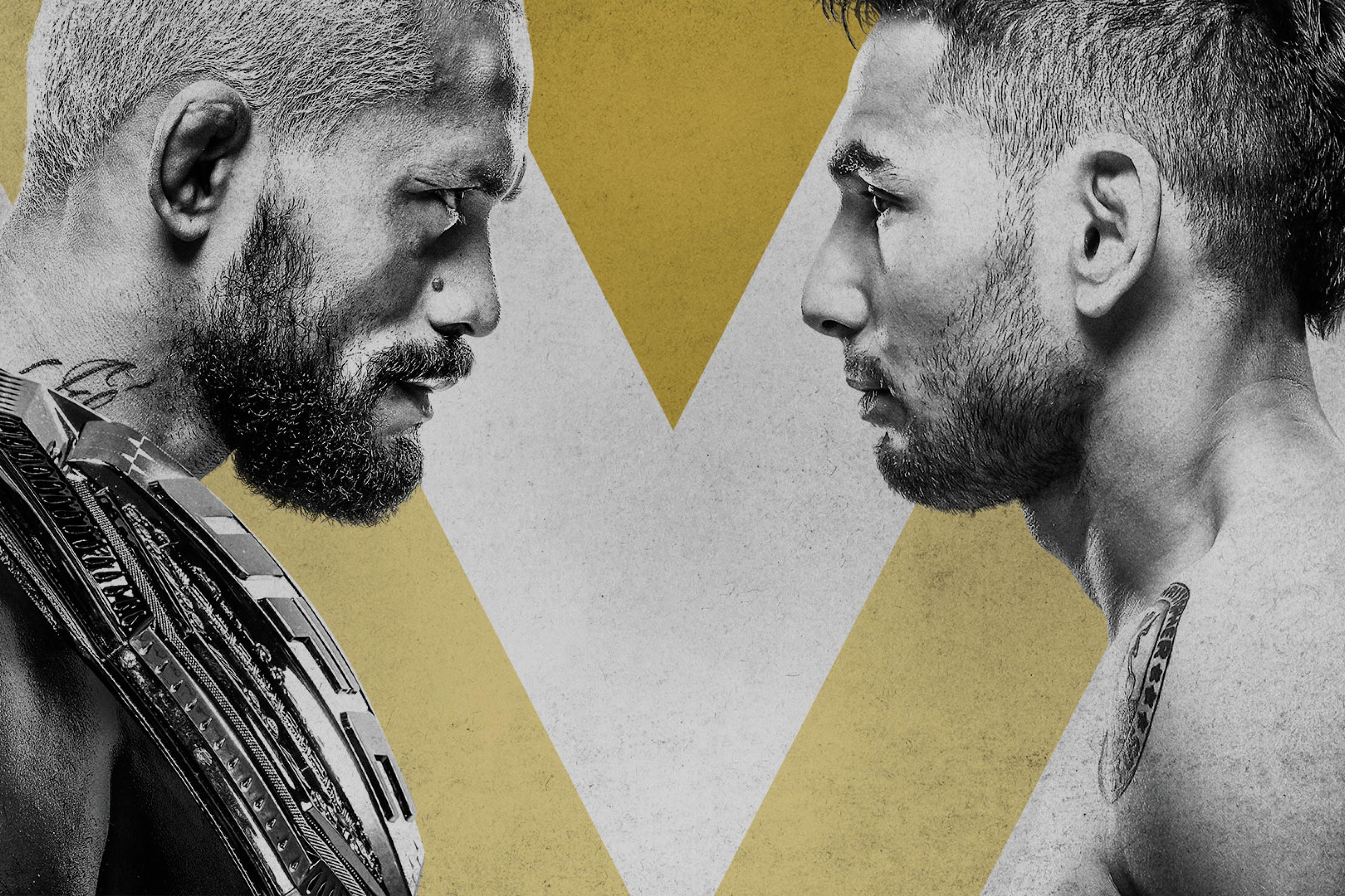 UFC 255: Figueiredo vs. Perez event art