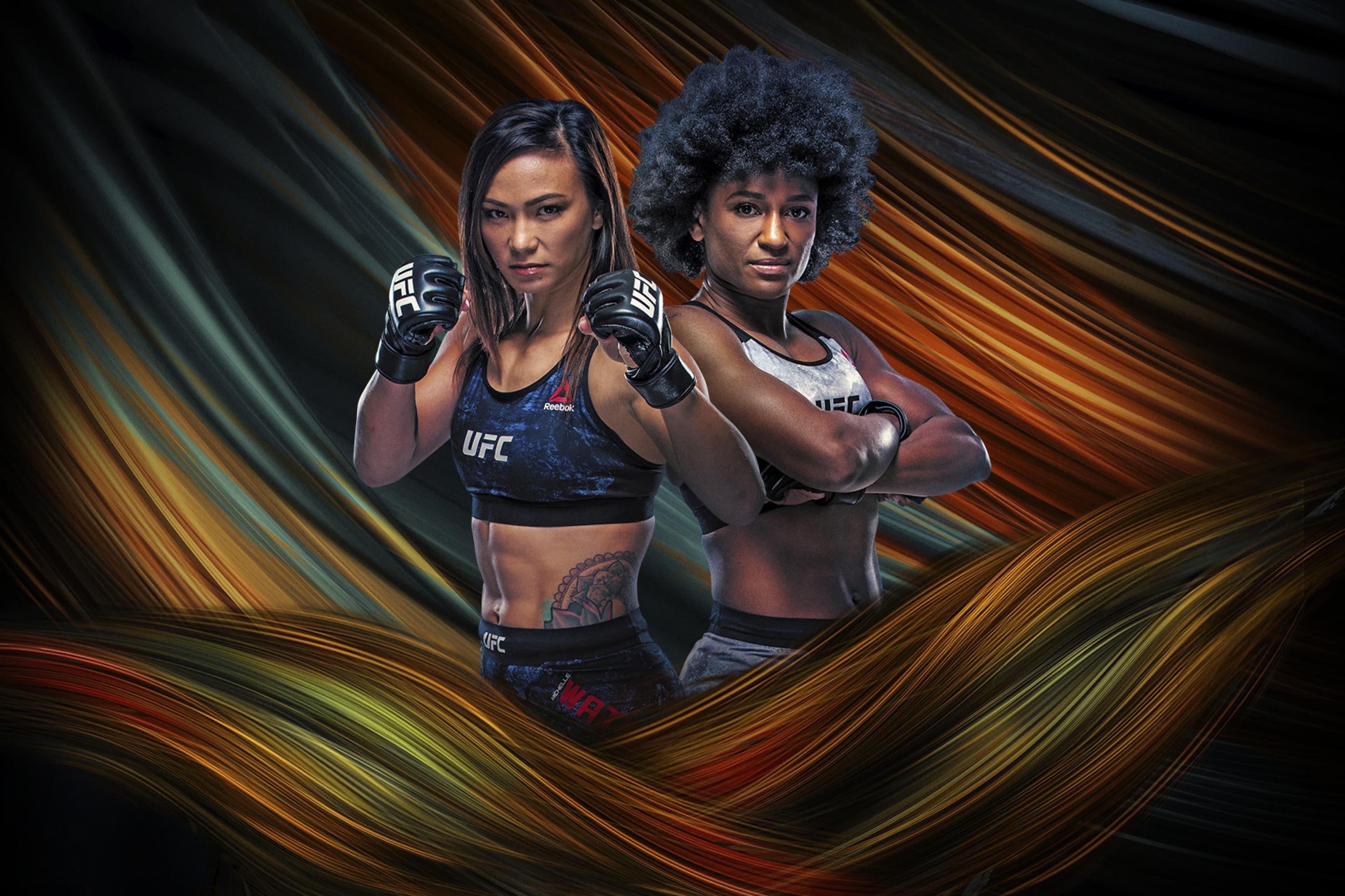 UFC Fight Night: Waterson vs. Hill event art