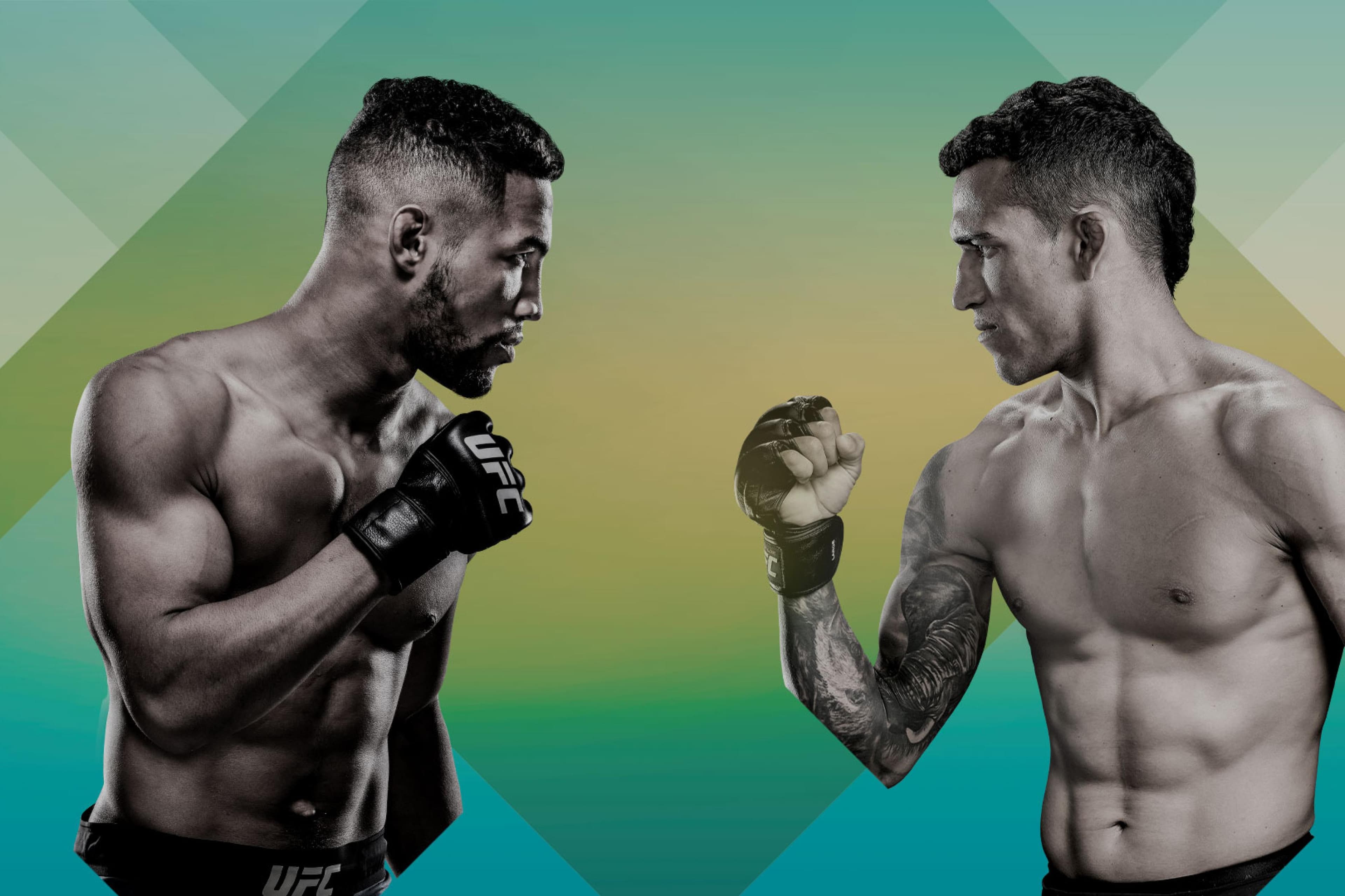 UFC Fight Night: Lee vs. Oliveira event art