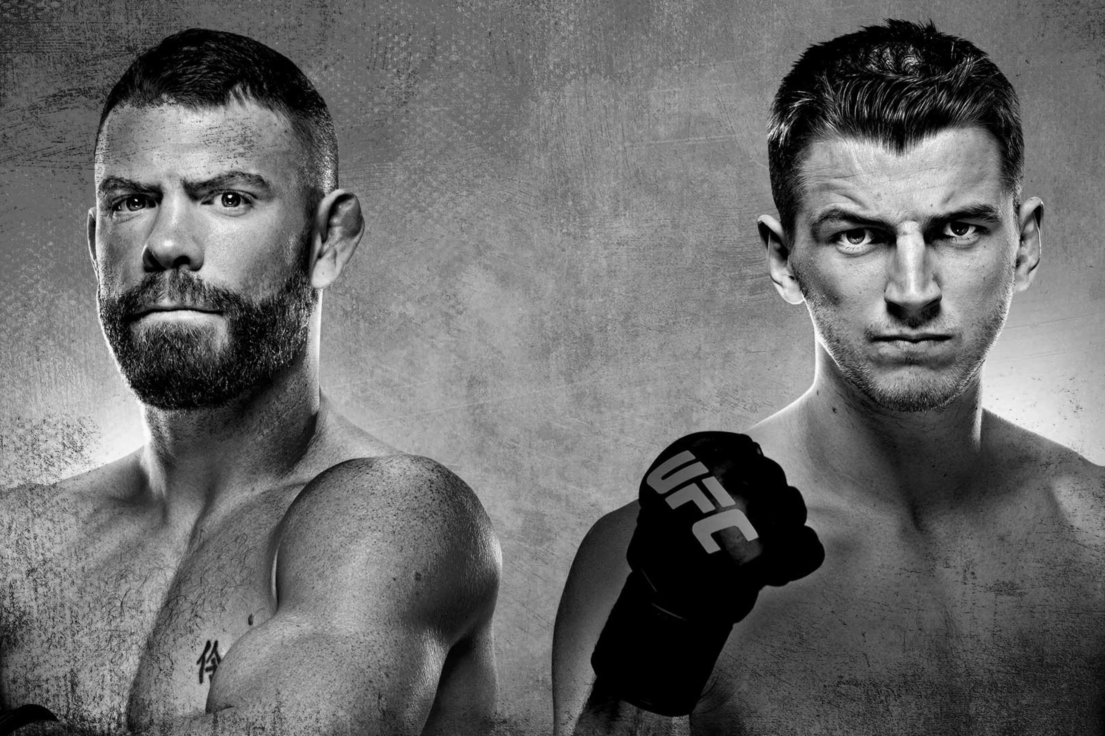 UFC Fight Night: Felder vs. Hooker event art